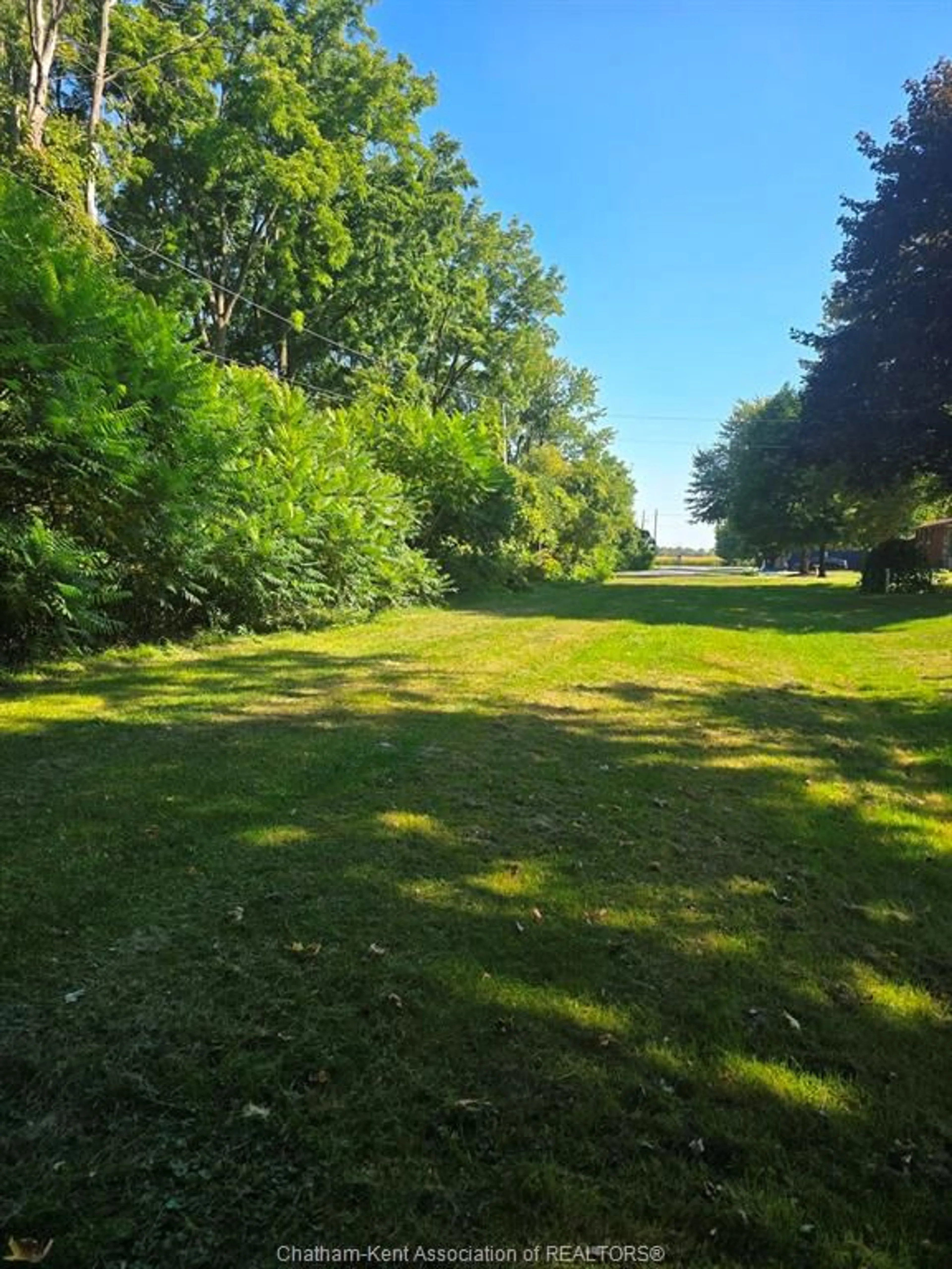 A pic from outside/outdoor area/front of a property/back of a property/a pic from drone, forest/trees view for 11 Jane Ave, Dealtown Ontario N0P 1A0
