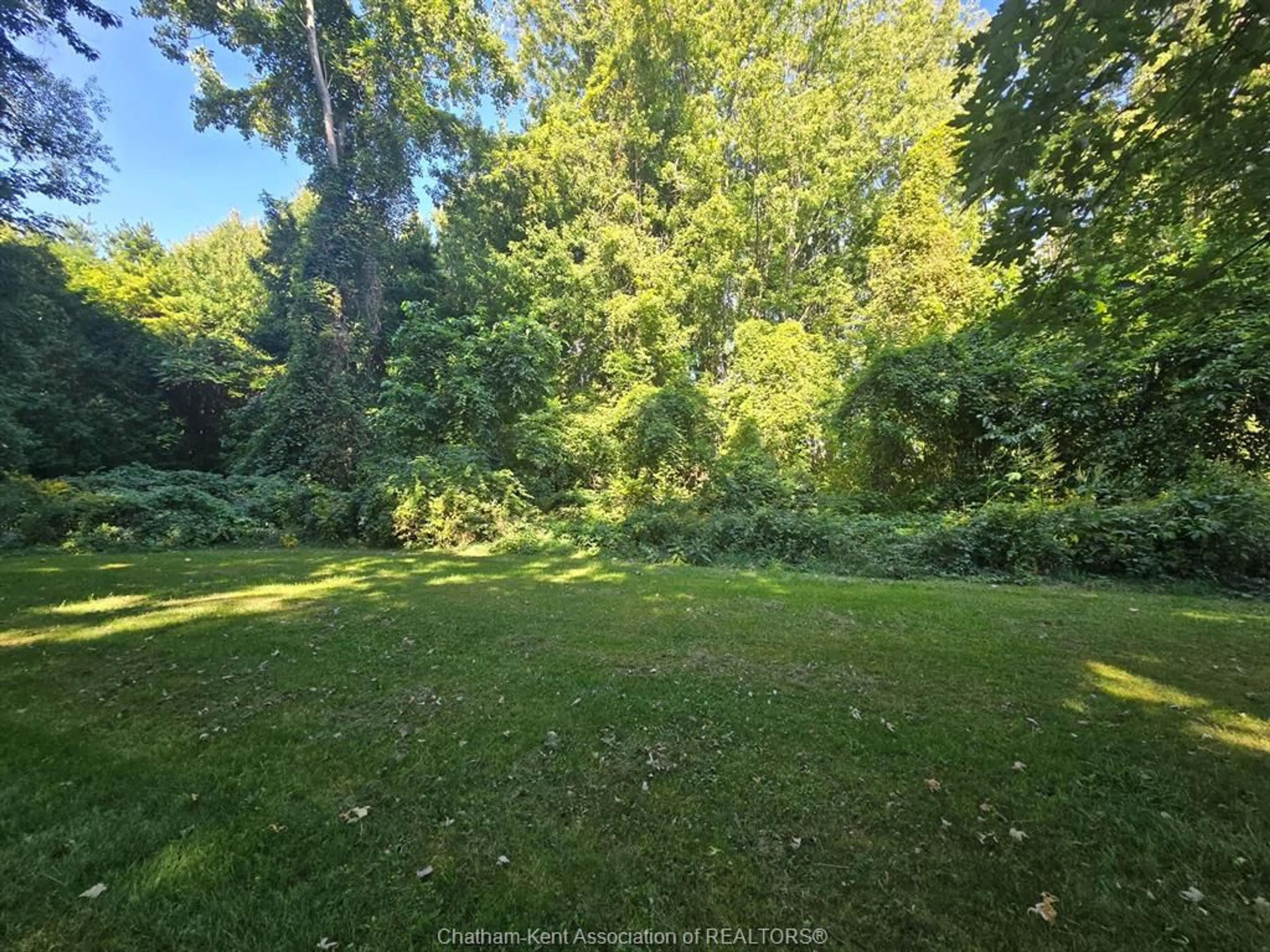 A pic from outside/outdoor area/front of a property/back of a property/a pic from drone, forest/trees view for 11 Jane Ave, Dealtown Ontario N0P 1A0