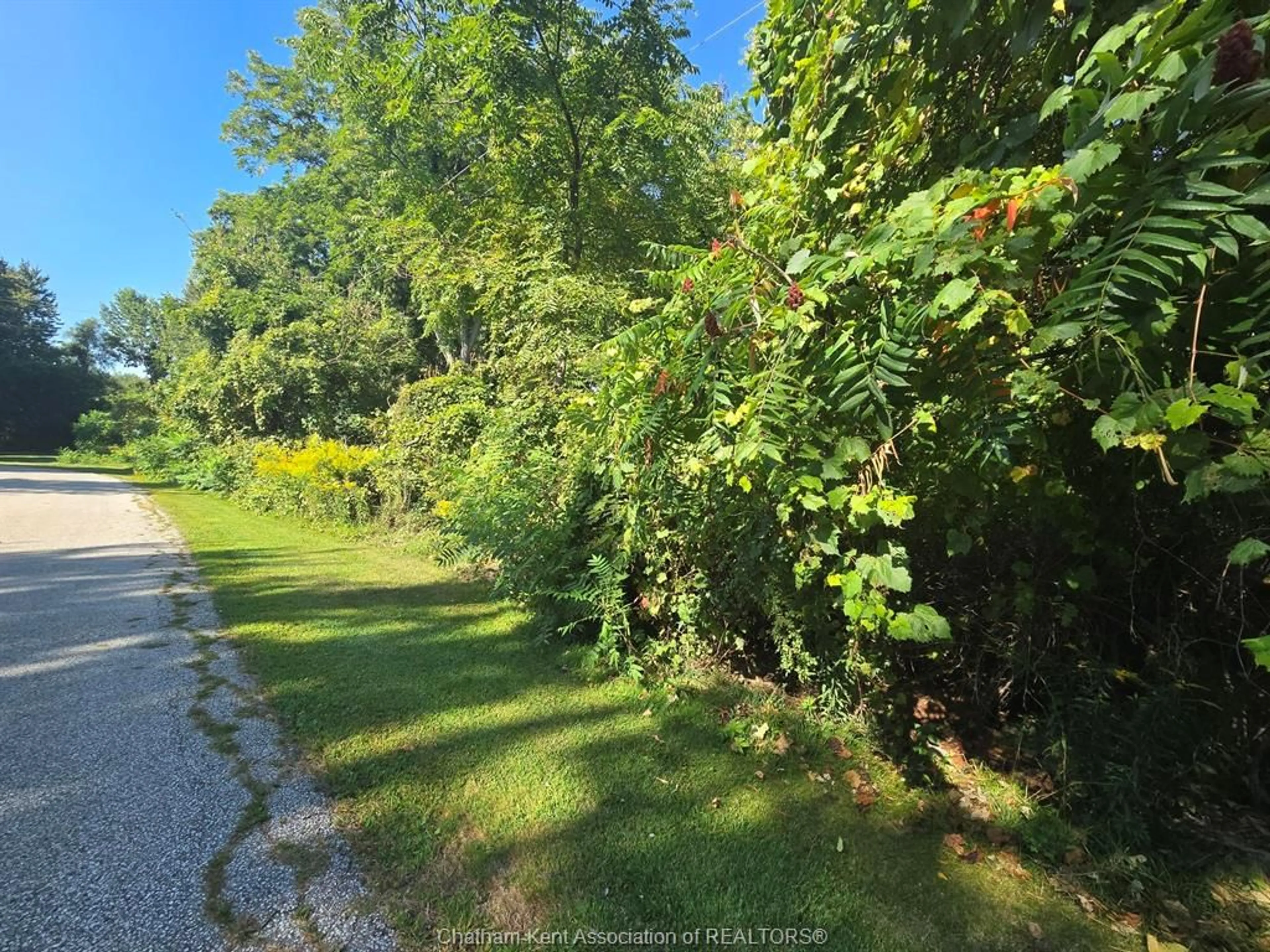 A pic from outside/outdoor area/front of a property/back of a property/a pic from drone, forest/trees view for 3 Jane Ave, Dealtown Ontario N0P 1A0
