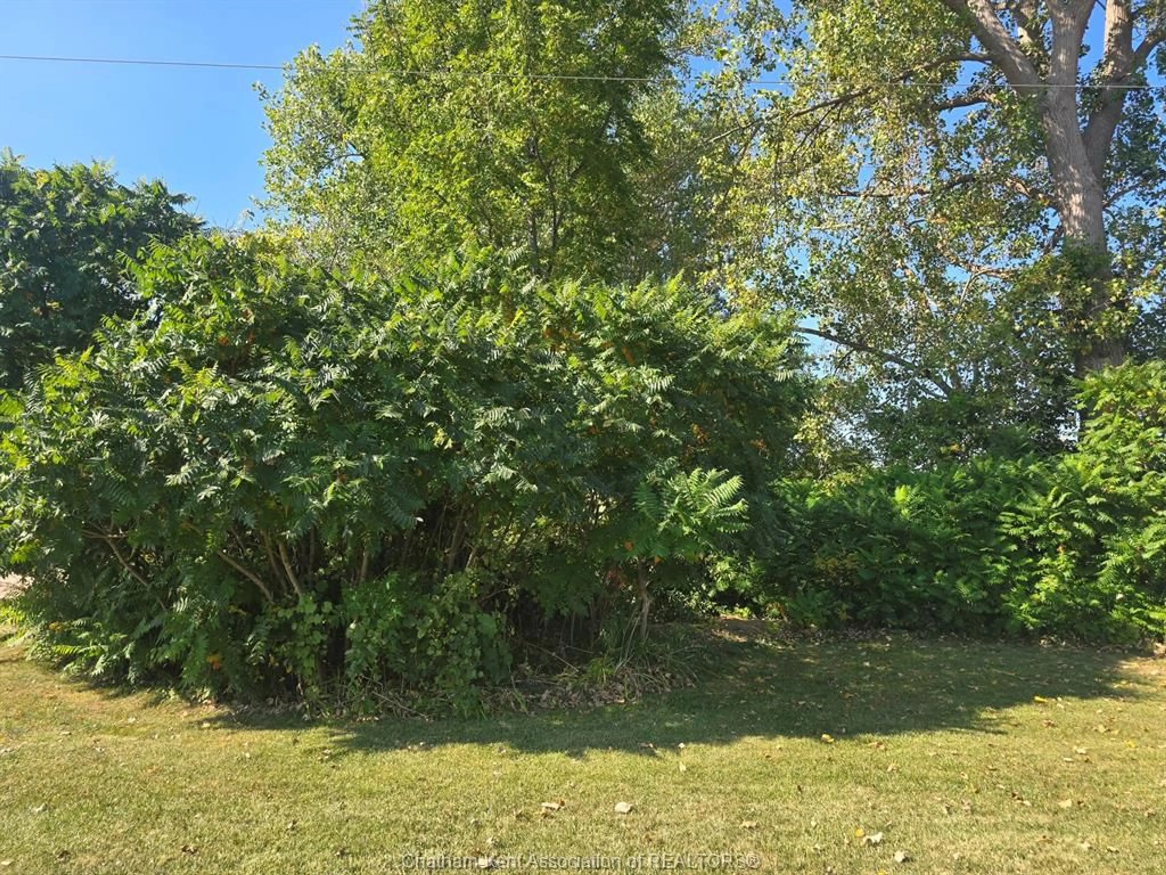 A pic from outside/outdoor area/front of a property/back of a property/a pic from drone, forest/trees view for V/L Four Rod Rd, Dealtown Ontario N0P 1A0