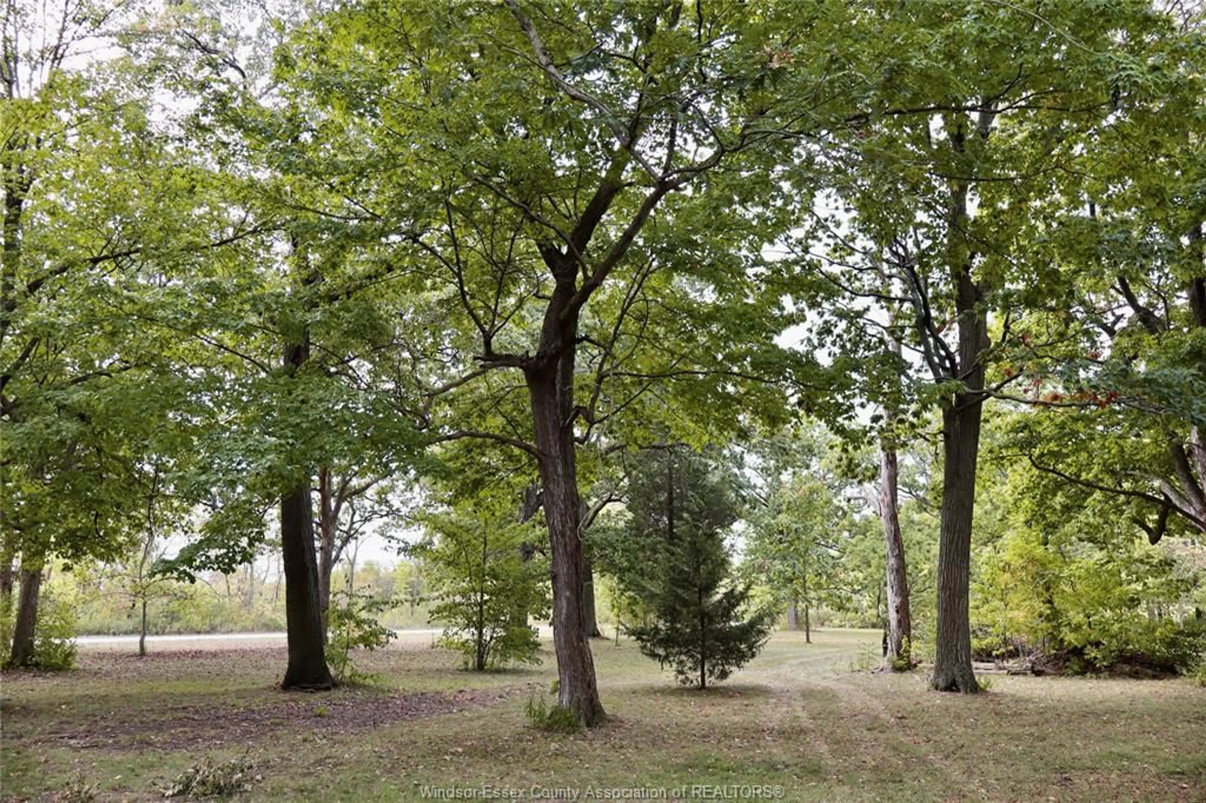 Patio, forest/trees view for 761 East West Rd, Pelee Island Ontario N0R 1M0