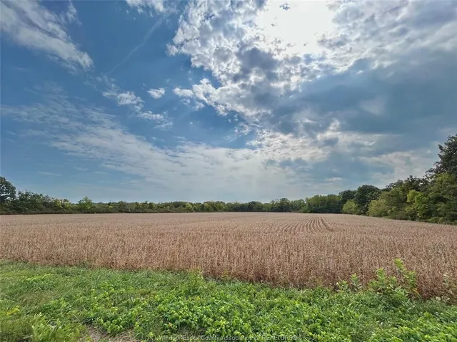 761 East West Rd, Pelee Island 5
