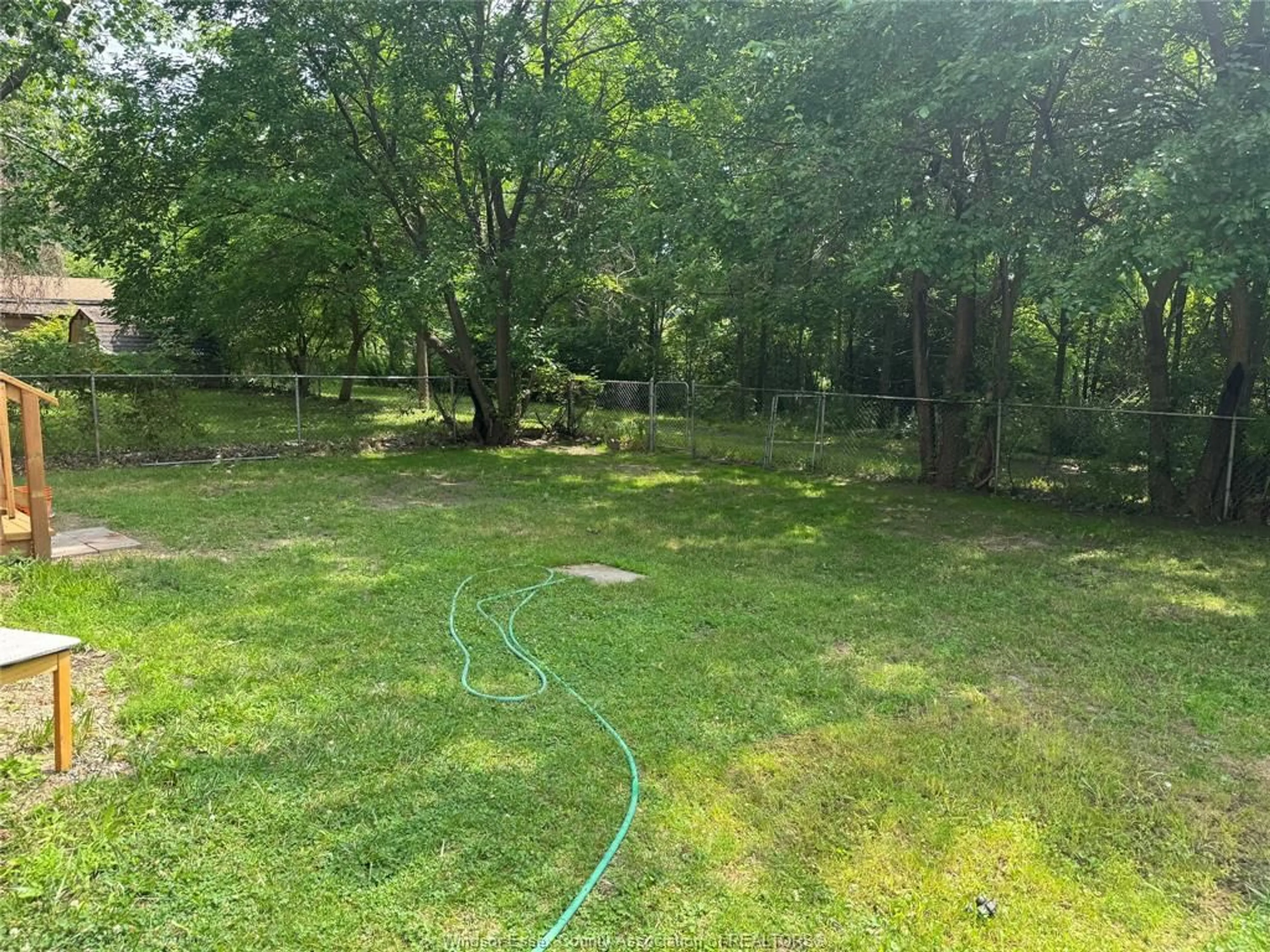 A pic from outside/outdoor area/front of a property/back of a property/a pic from drone, forest/trees view for 3641 BLOOMFIELD Rd, Windsor Ontario N9C 1S1