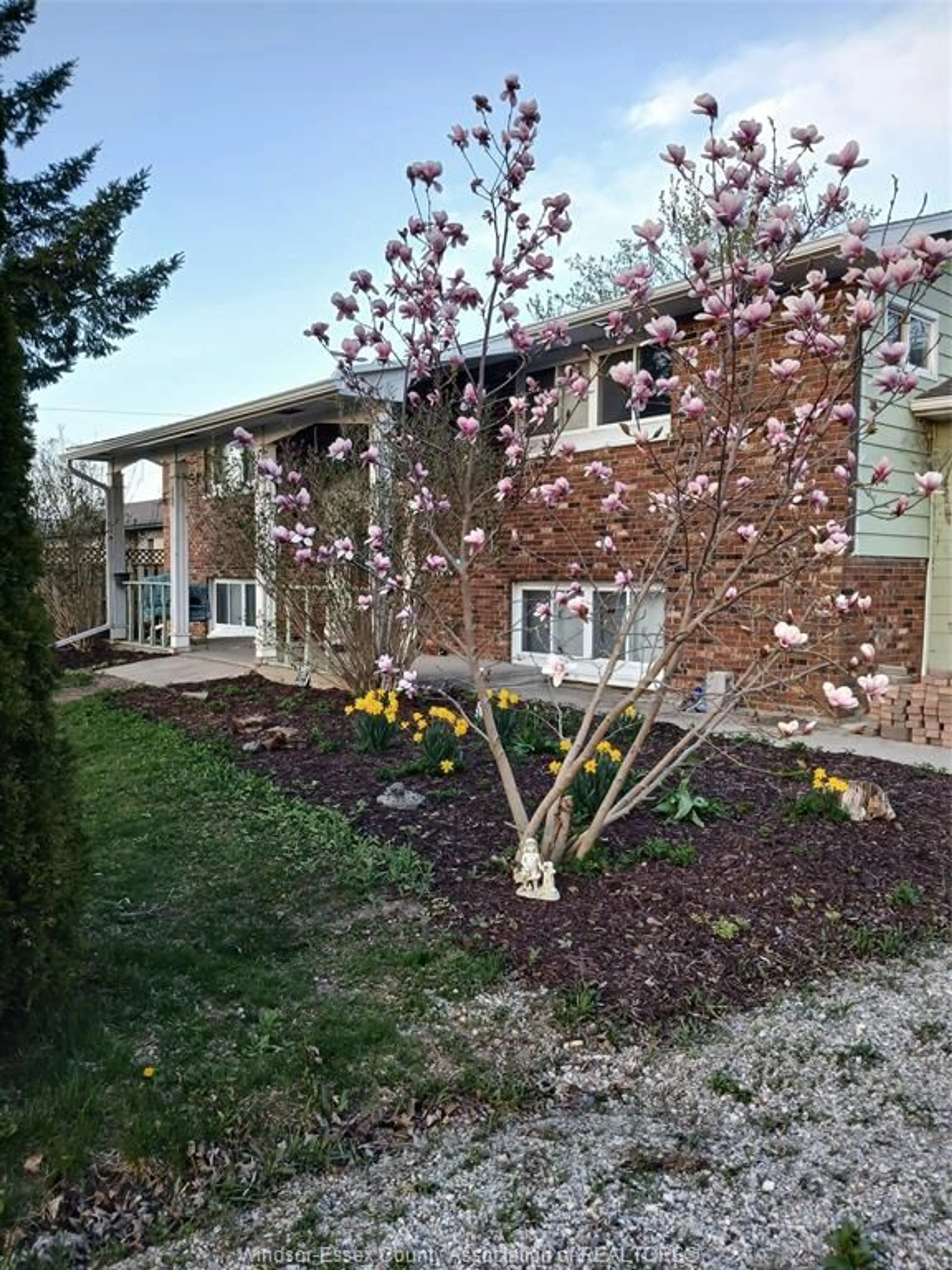 Unknown for 8 STORY St, Blenheim Ontario N0P 1A0