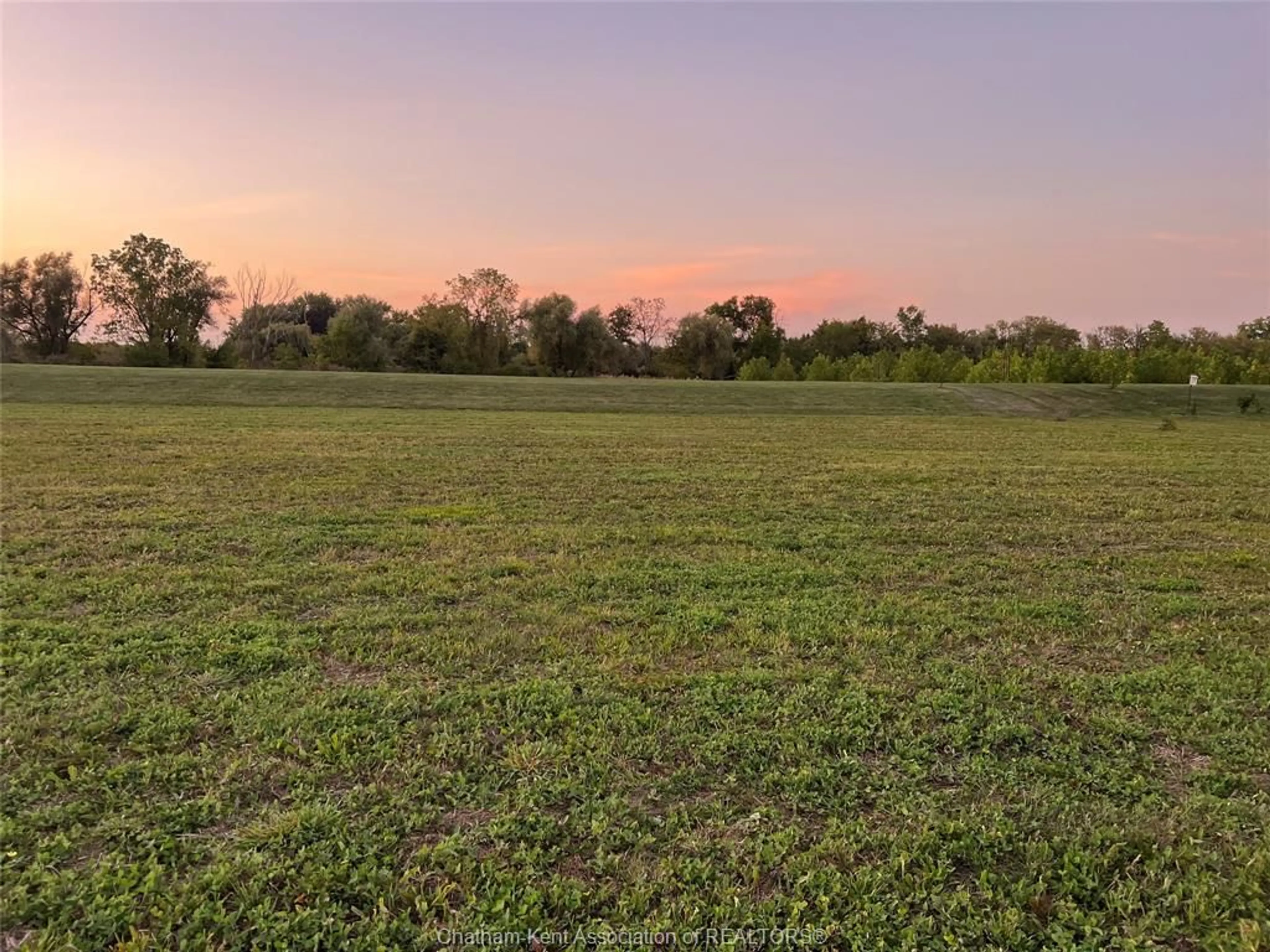 A pic from outside/outdoor area/front of a property/back of a property/a pic from drone, forest/trees view for 6473 RIVERVIEW Line, Chatham Ontario N7M 5T1