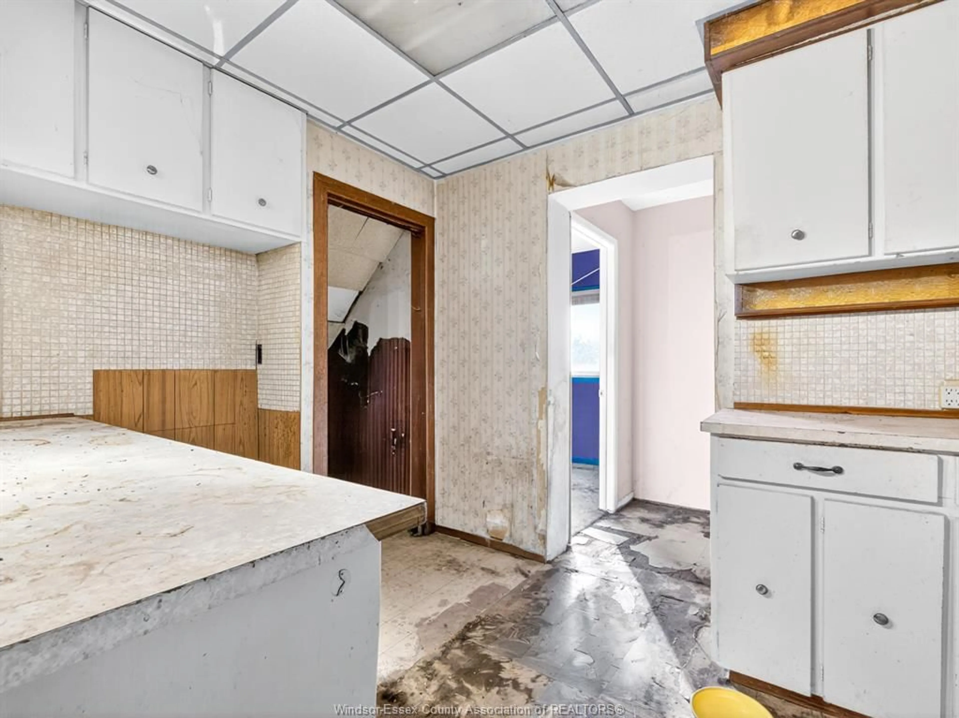 Kitchen with laundary machines, unknown for 1597 BRUCE Ave, Windsor Ontario N8X 1Y1