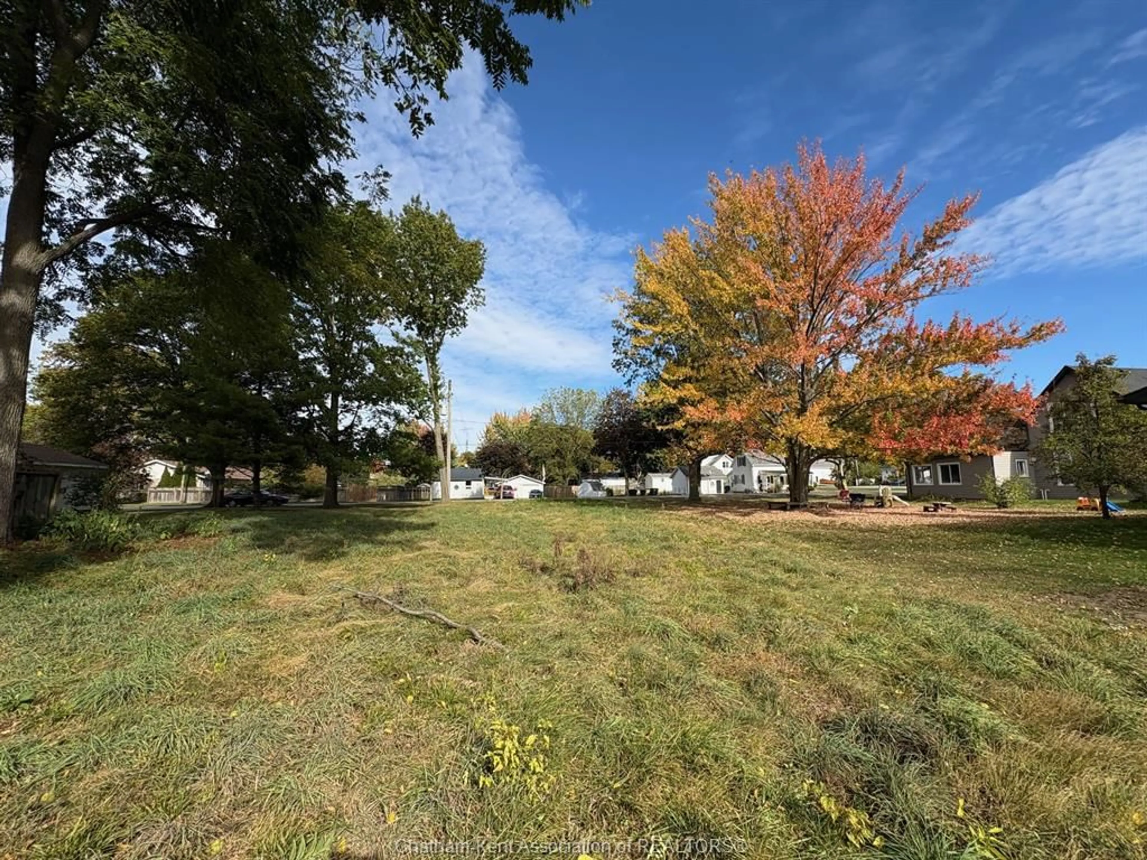 A pic from outside/outdoor area/front of a property/back of a property/a pic from drone, forest/trees view for 19 Richard St, Ridgetown Ontario N0P 2C0