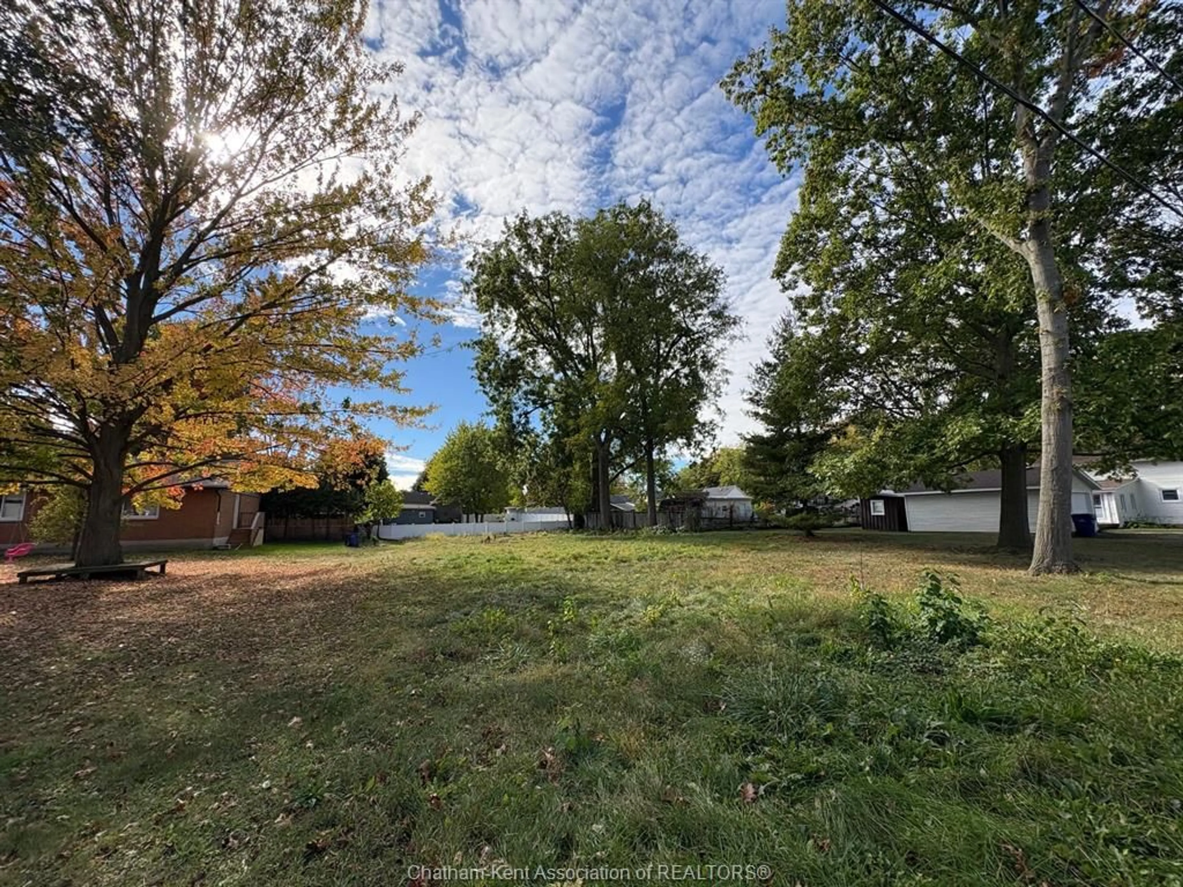 A pic from outside/outdoor area/front of a property/back of a property/a pic from drone, forest/trees view for 19 Richard St, Ridgetown Ontario N0P 2C0