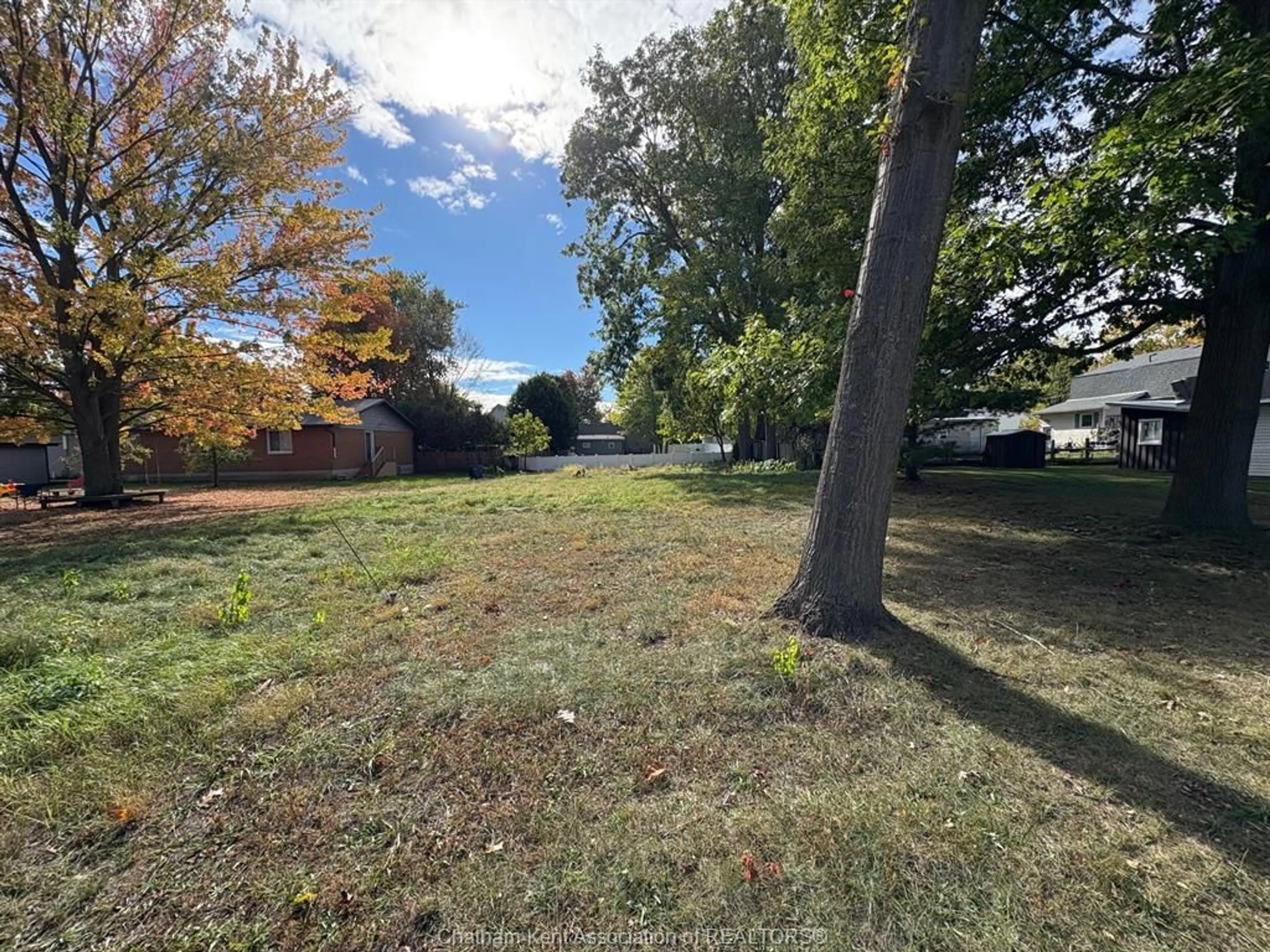 A pic from outside/outdoor area/front of a property/back of a property/a pic from drone, forest/trees view for 19 Richard St, Ridgetown Ontario N0P 2C0