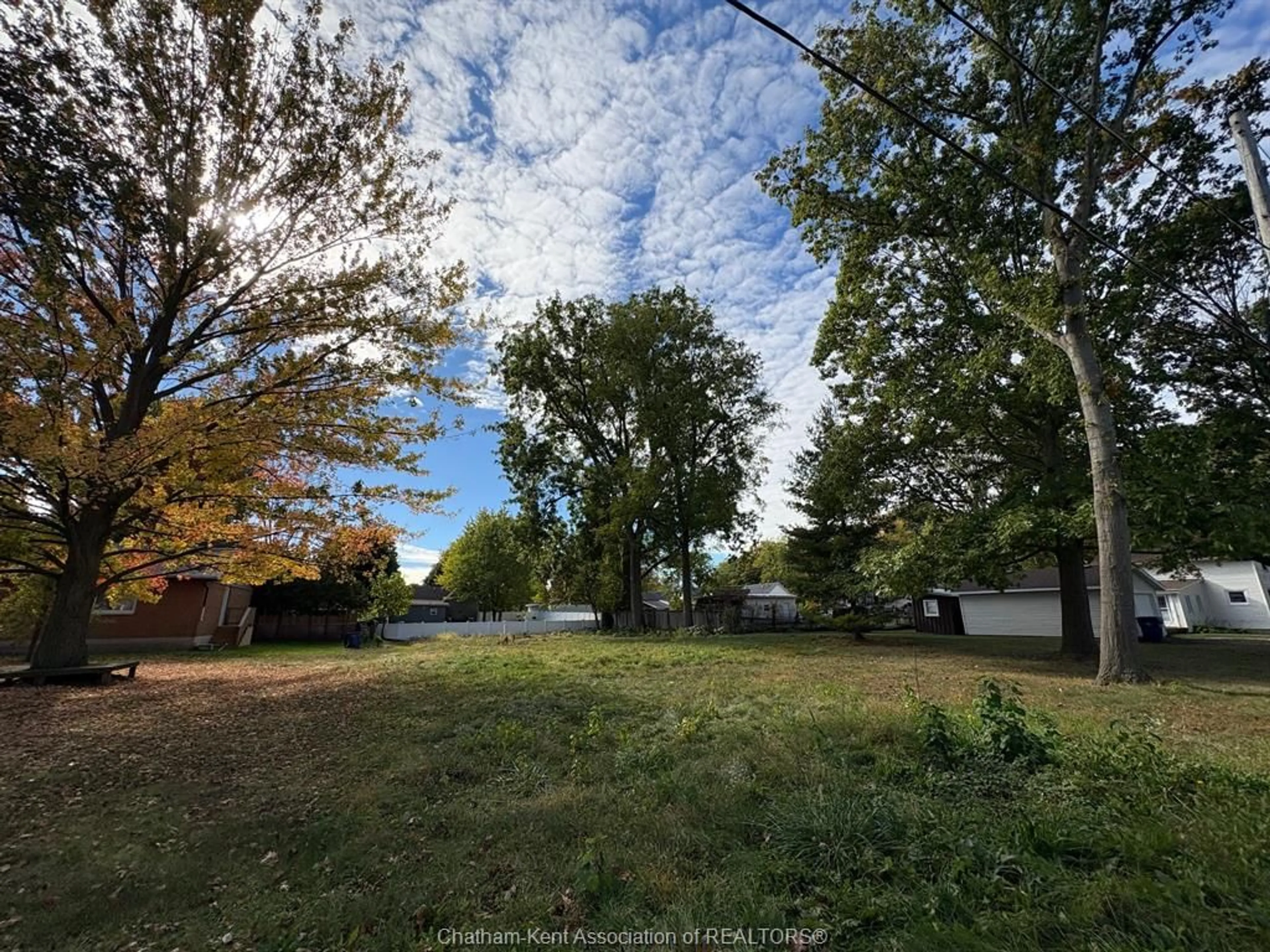 A pic from outside/outdoor area/front of a property/back of a property/a pic from drone, forest/trees view for 19 Richard St, Ridgetown Ontario N0P 2C0