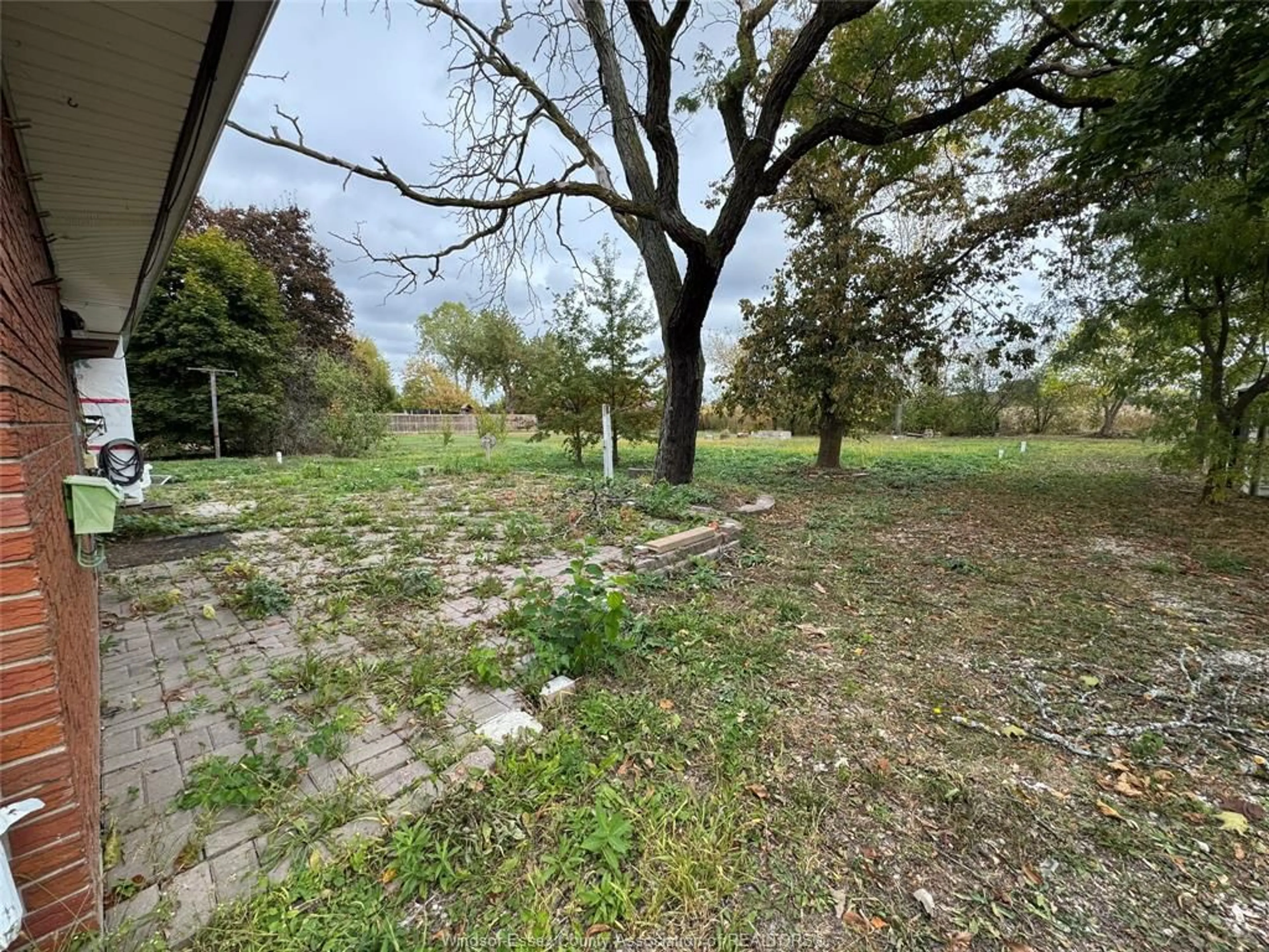 A pic from outside/outdoor area/front of a property/back of a property/a pic from drone, forest/trees view for 5360 HURON CHURCH LINE Rd, LaSalle Ontario N9H 1H6