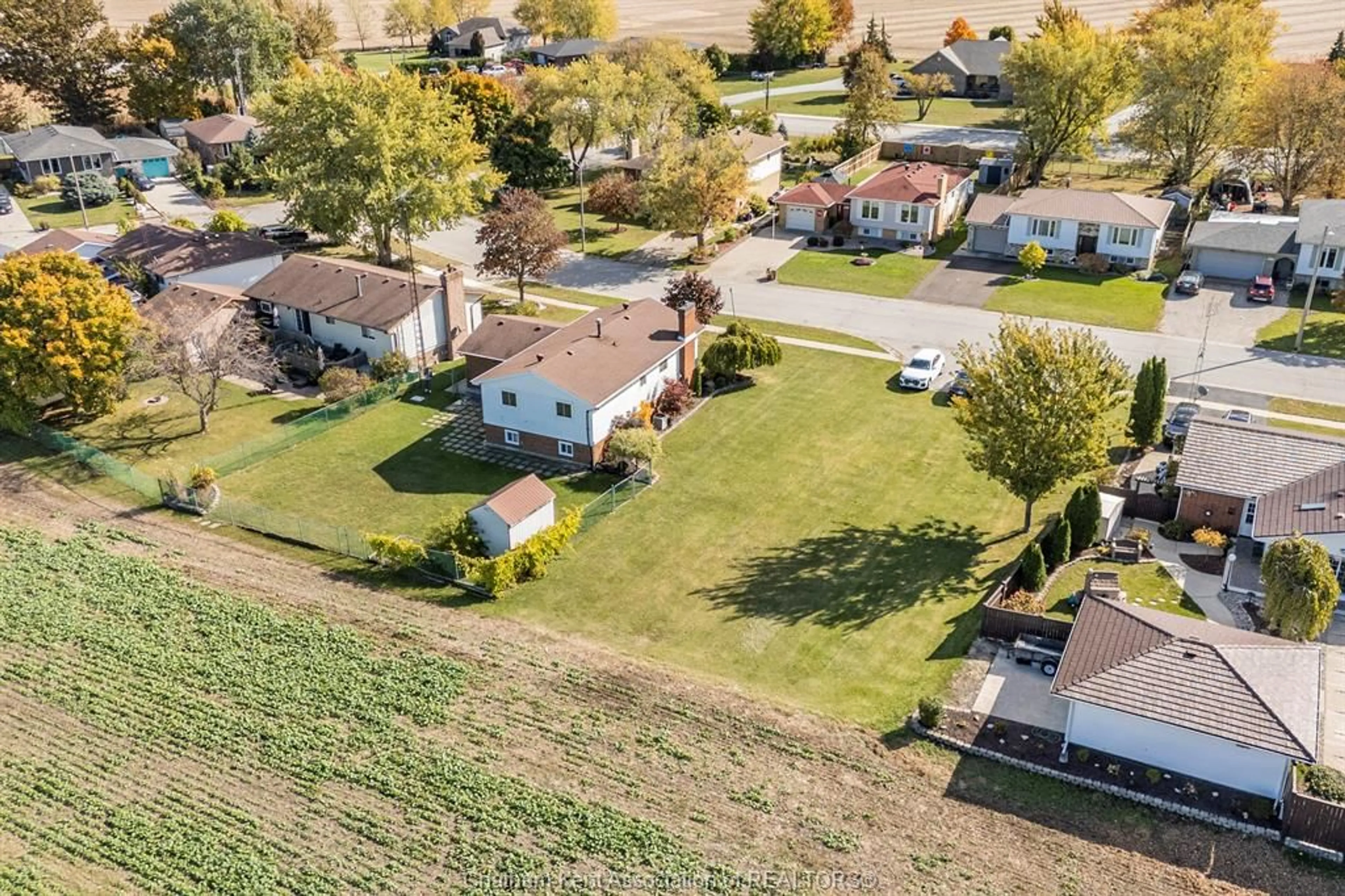 A pic from outside/outdoor area/front of a property/back of a property/a pic from drone, street for 7152 William St, Comber Ontario N0P 1J0