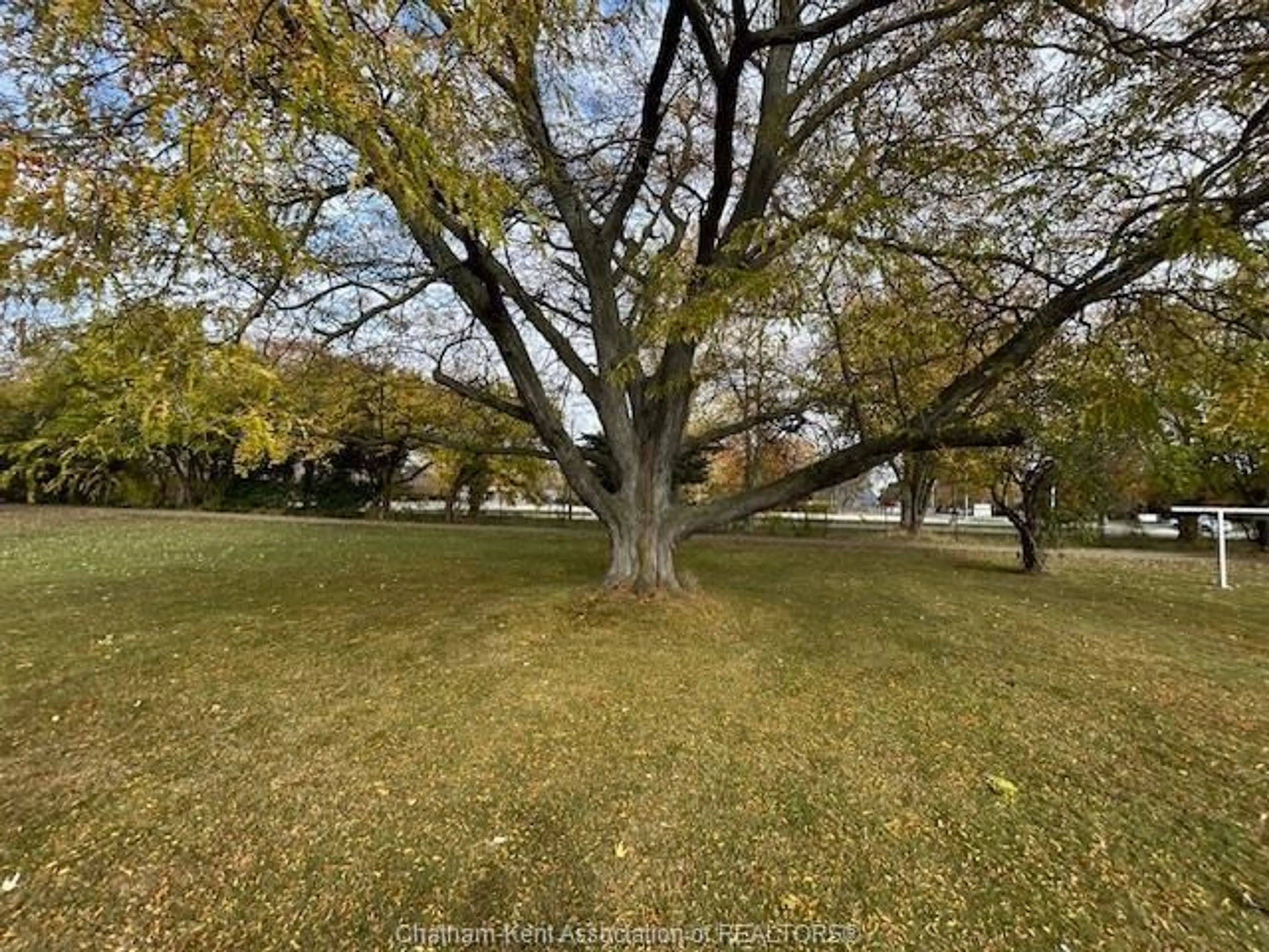 A pic from outside/outdoor area/front of a property/back of a property/a pic from drone, forest/trees view for 523 INDIAN CREEK Rd, Chatham Ontario N7M 5J5