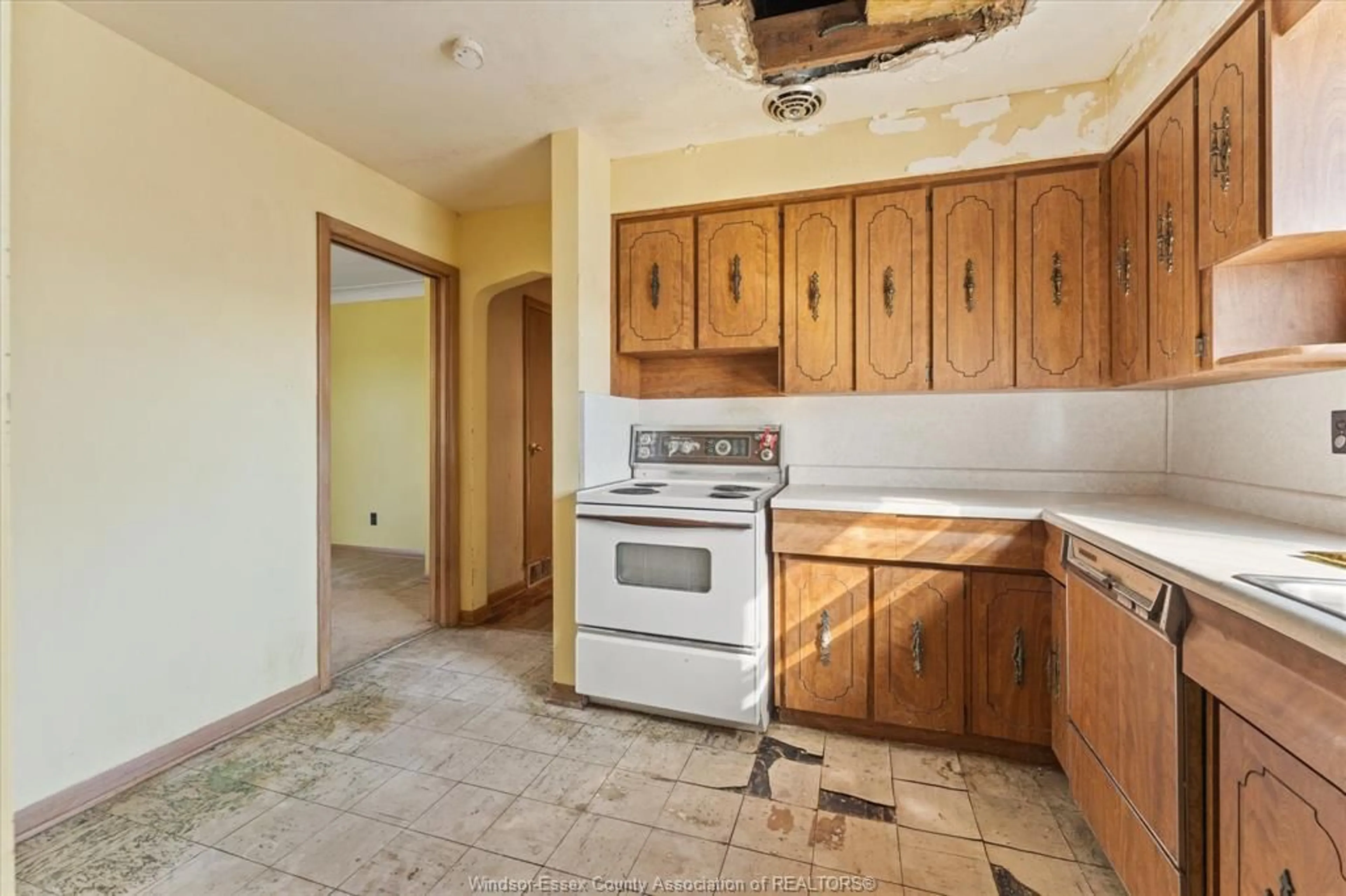 Standard kitchen, unknown for 1318 Virginia, Windsor Ontario N8S 2Z4