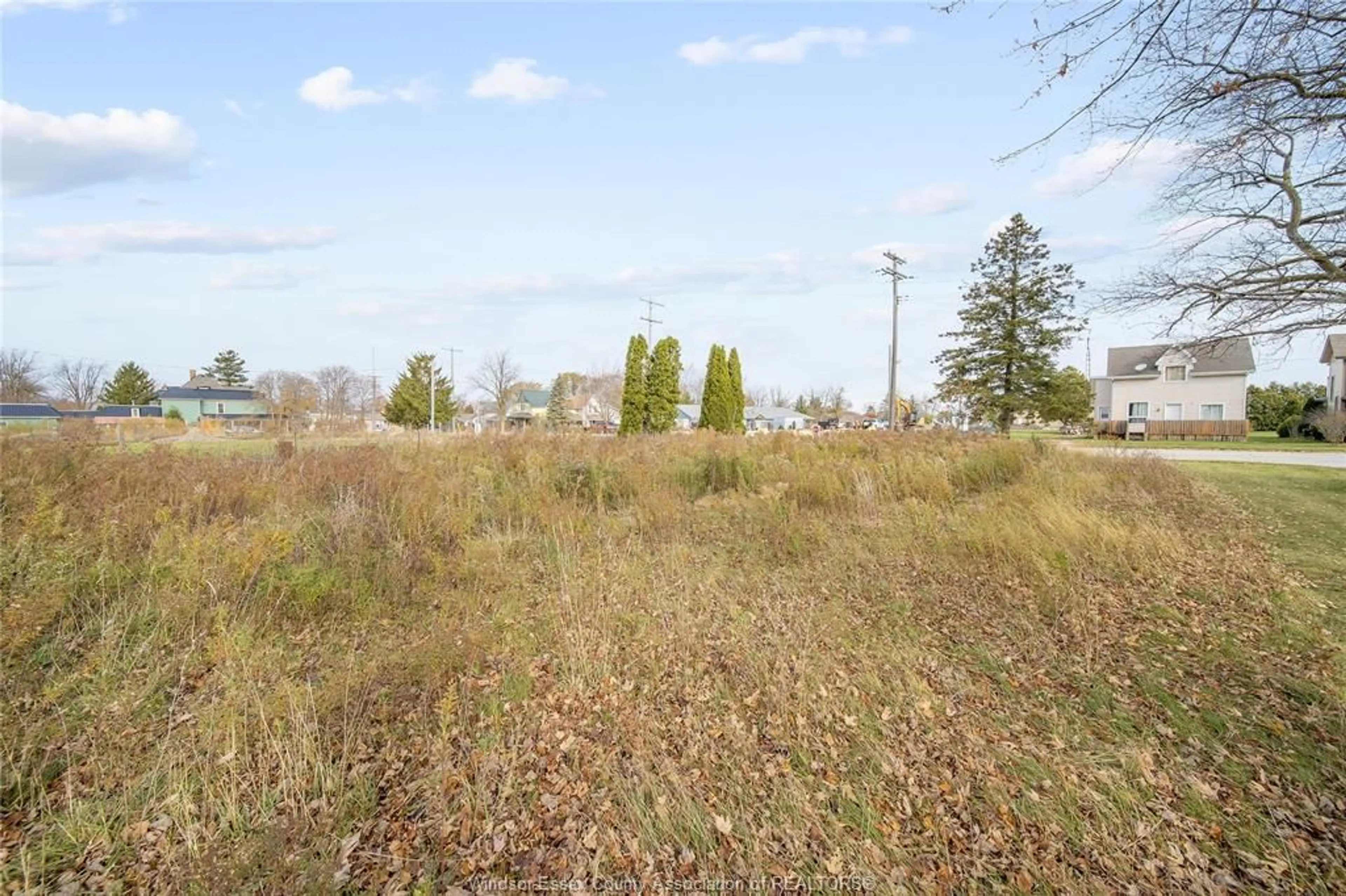 Unknown for 123 ERIE ST. S., Merlin Ontario N0P 1W0