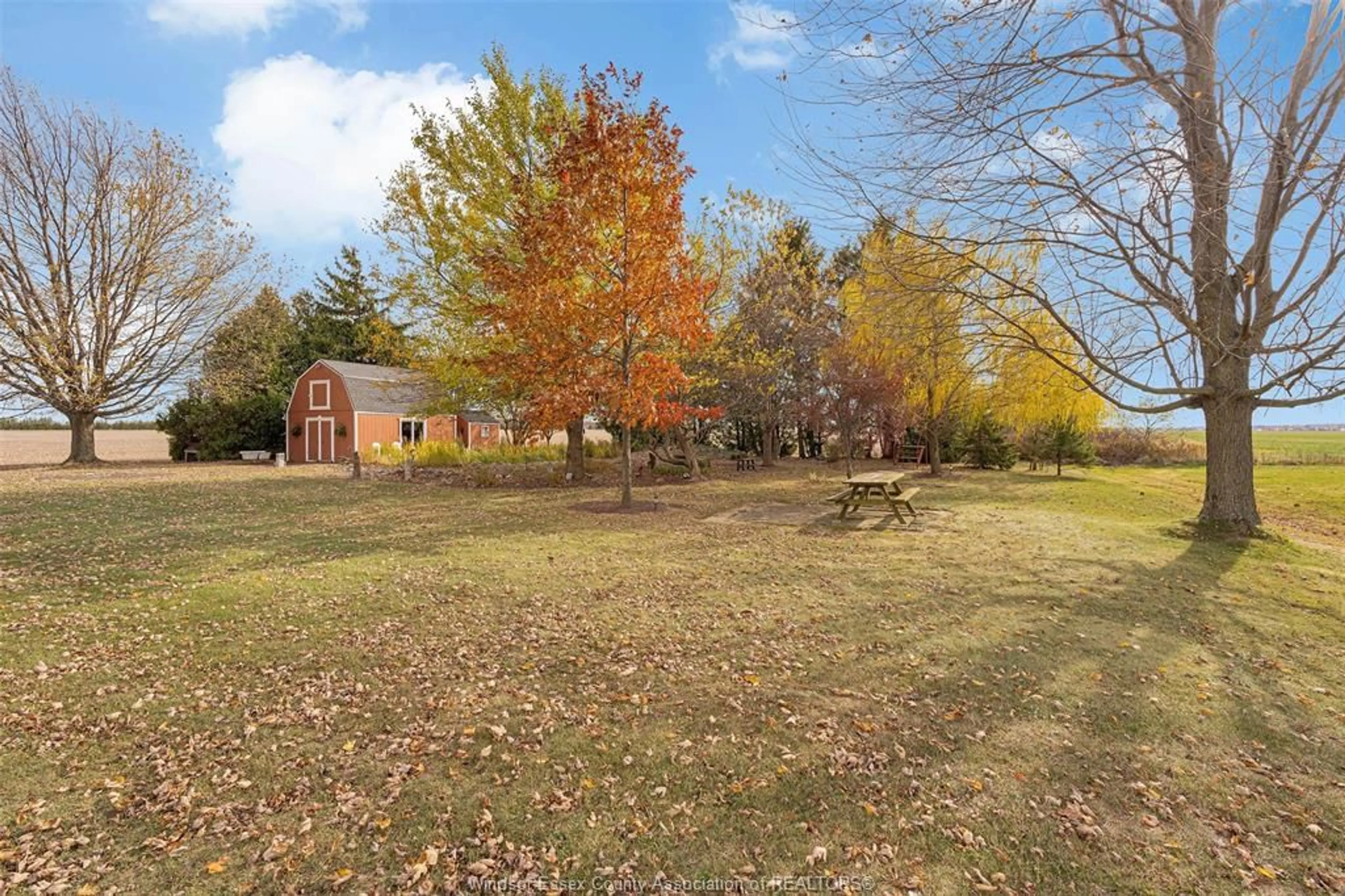 A pic from outside/outdoor area/front of a property/back of a property/a pic from drone, forest/trees view for 527 COUNTY RD 42, Lakeshore Ontario N8N 2L9