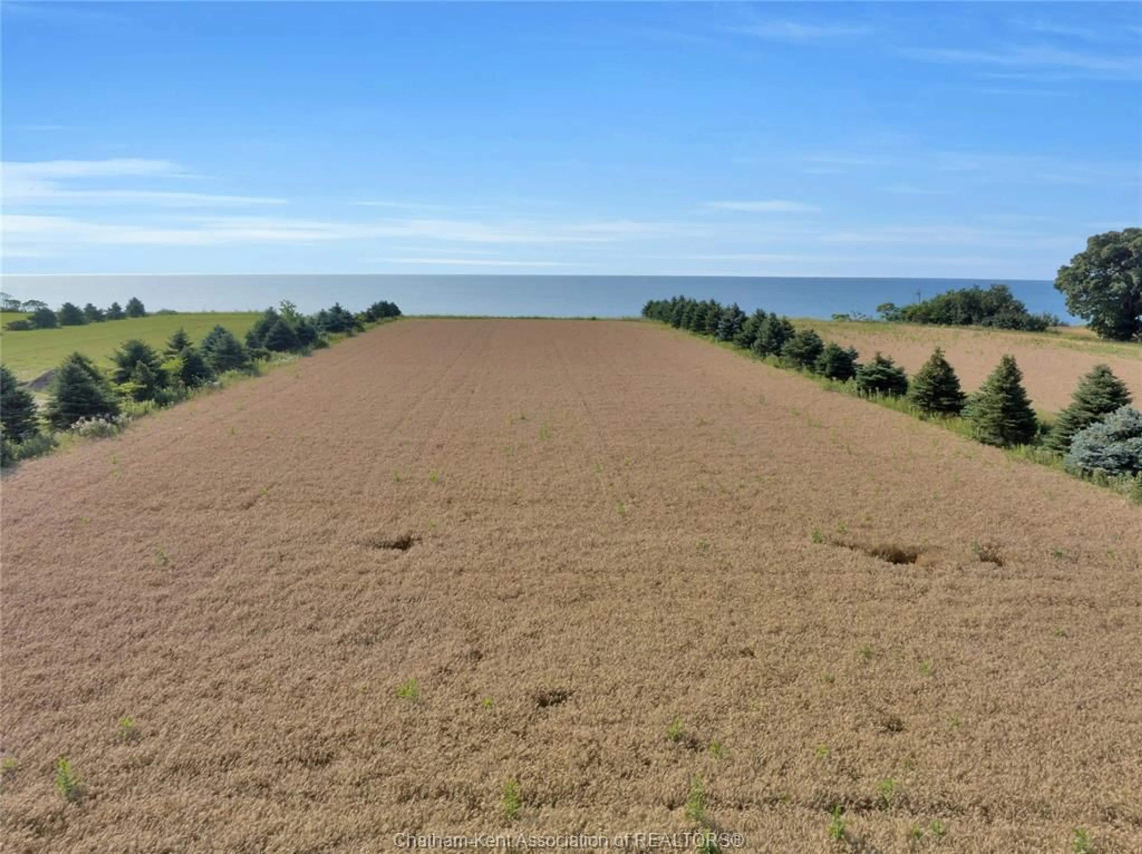 A pic from outside/outdoor area/front of a property/back of a property/a pic from drone, water/lake/river/ocean view for 5194 TALBOT Trail, Merlin Ontario N0P 1W0