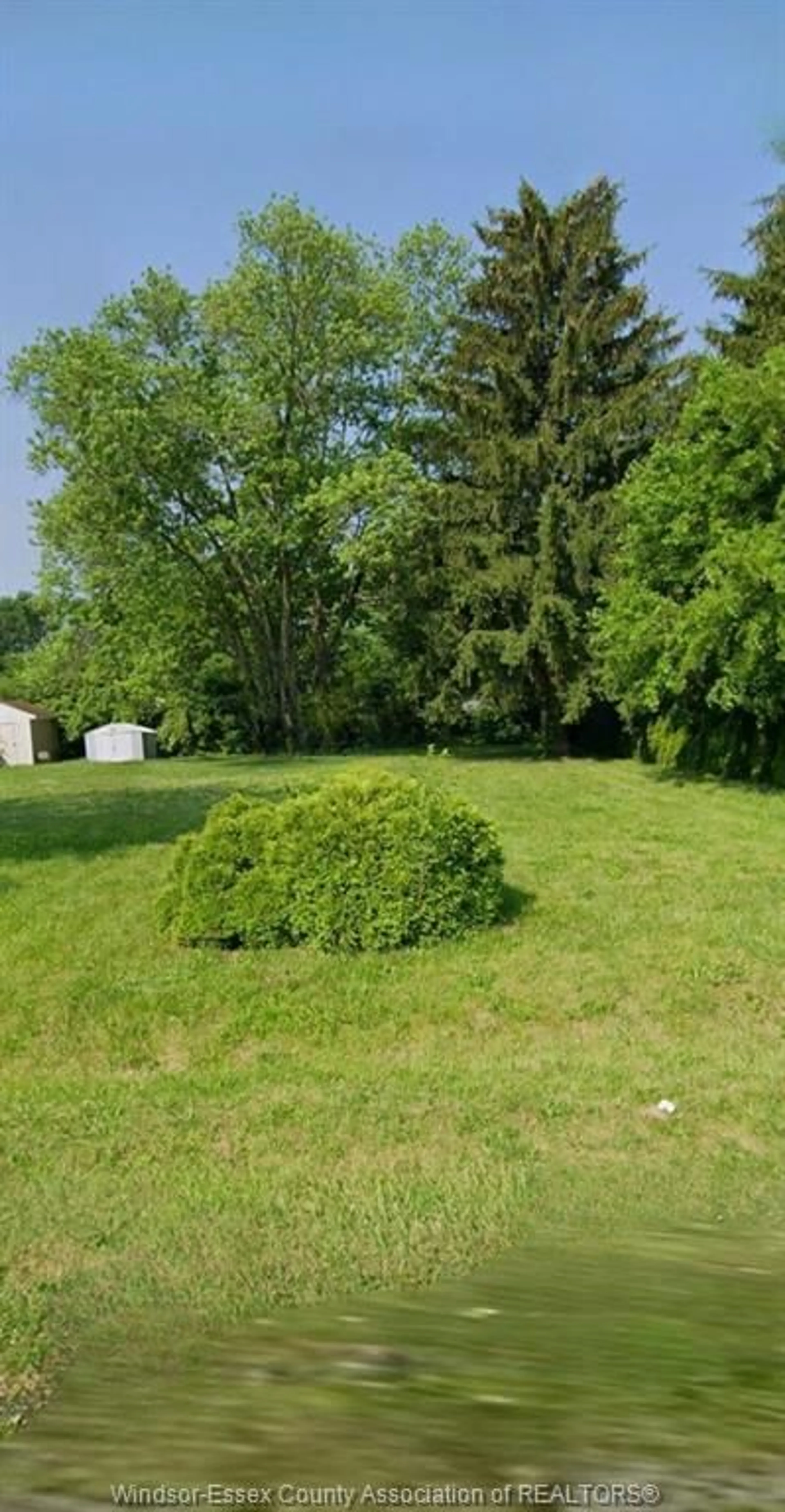 A pic from outside/outdoor area/front of a property/back of a property/a pic from drone, forest/trees view for 3869 Turner, Windsor Ontario N8W 3N4