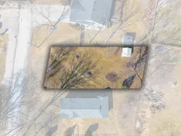 history photo preview