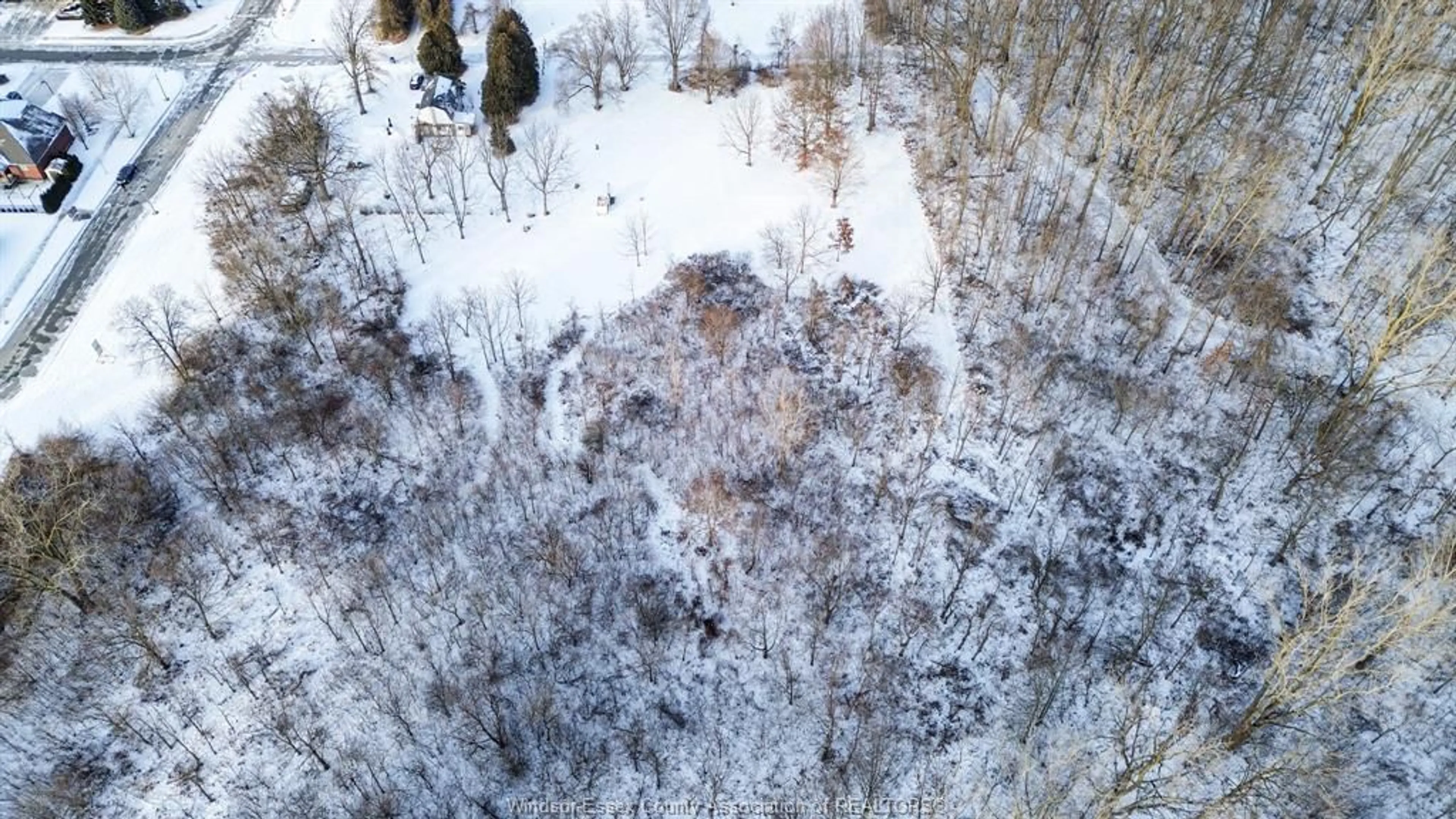 A pic from outside/outdoor area/front of a property/back of a property/a pic from drone, forest/trees view for 2185 WASHINGTON Blvd, LaSalle Ontario N9H 1Y5