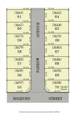 history photo preview