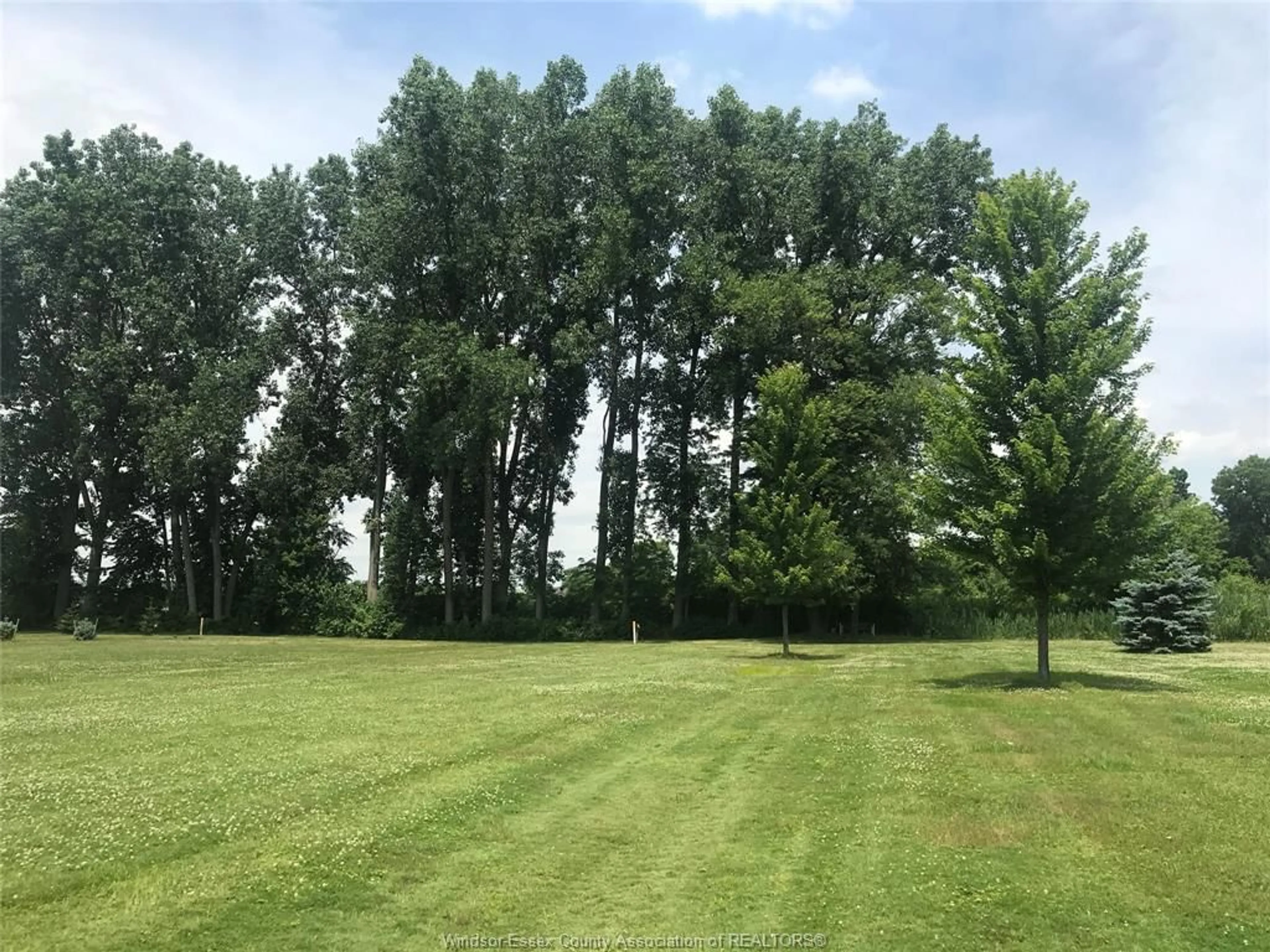 A pic from outside/outdoor area/front of a property/back of a property/a pic from drone, forest/trees view for 367 MARTIN Lane, LaSalle Ontario N9J 2M3