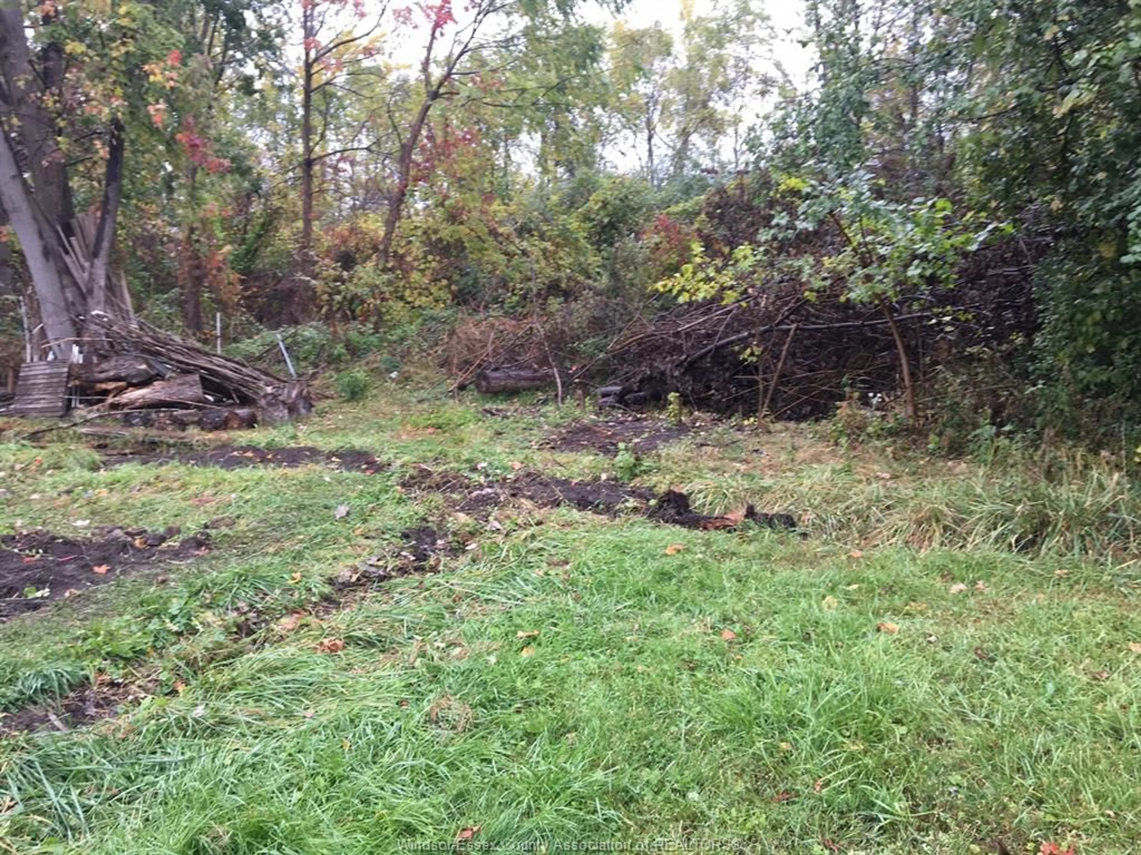 Unknown for V/L BETTS, Windsor Ontario N9E 4T7