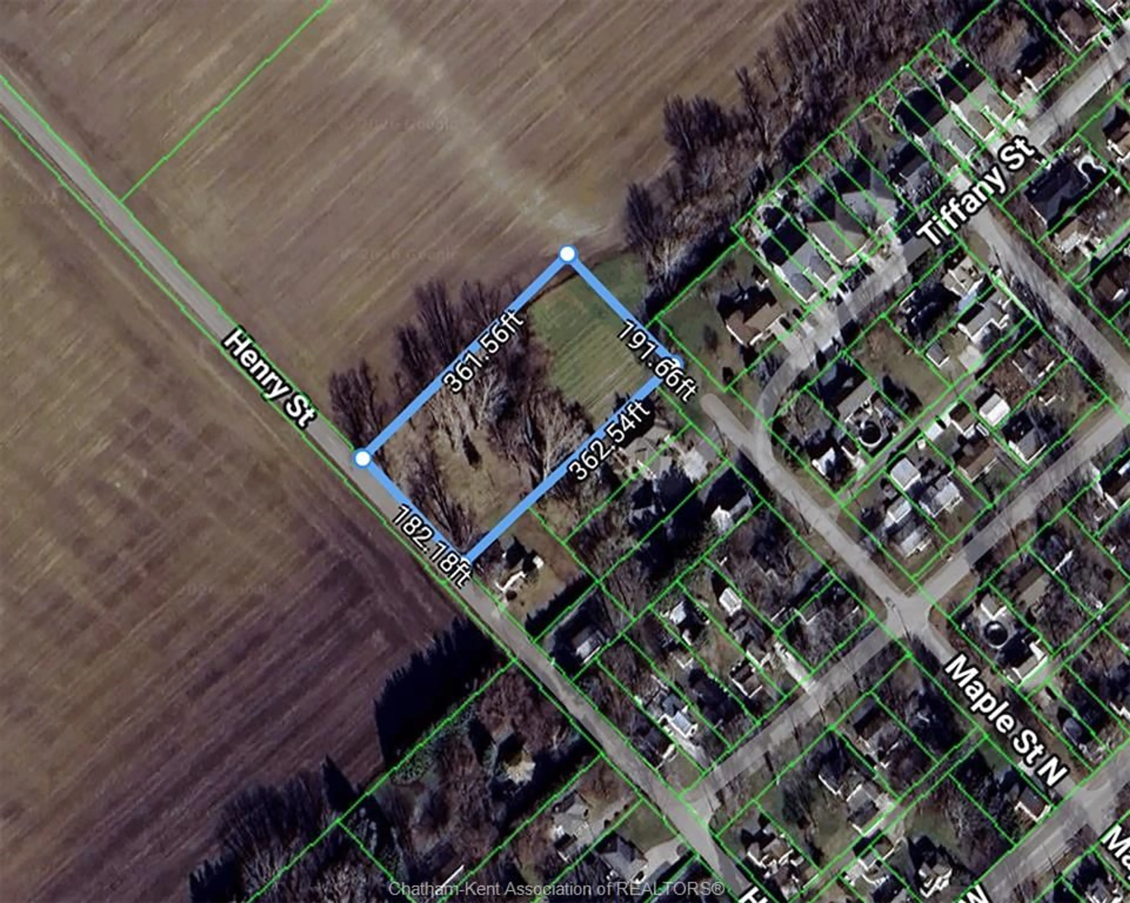 Picture of a map for 19 Henry St, Ridgetown Ontario N0P 2C0