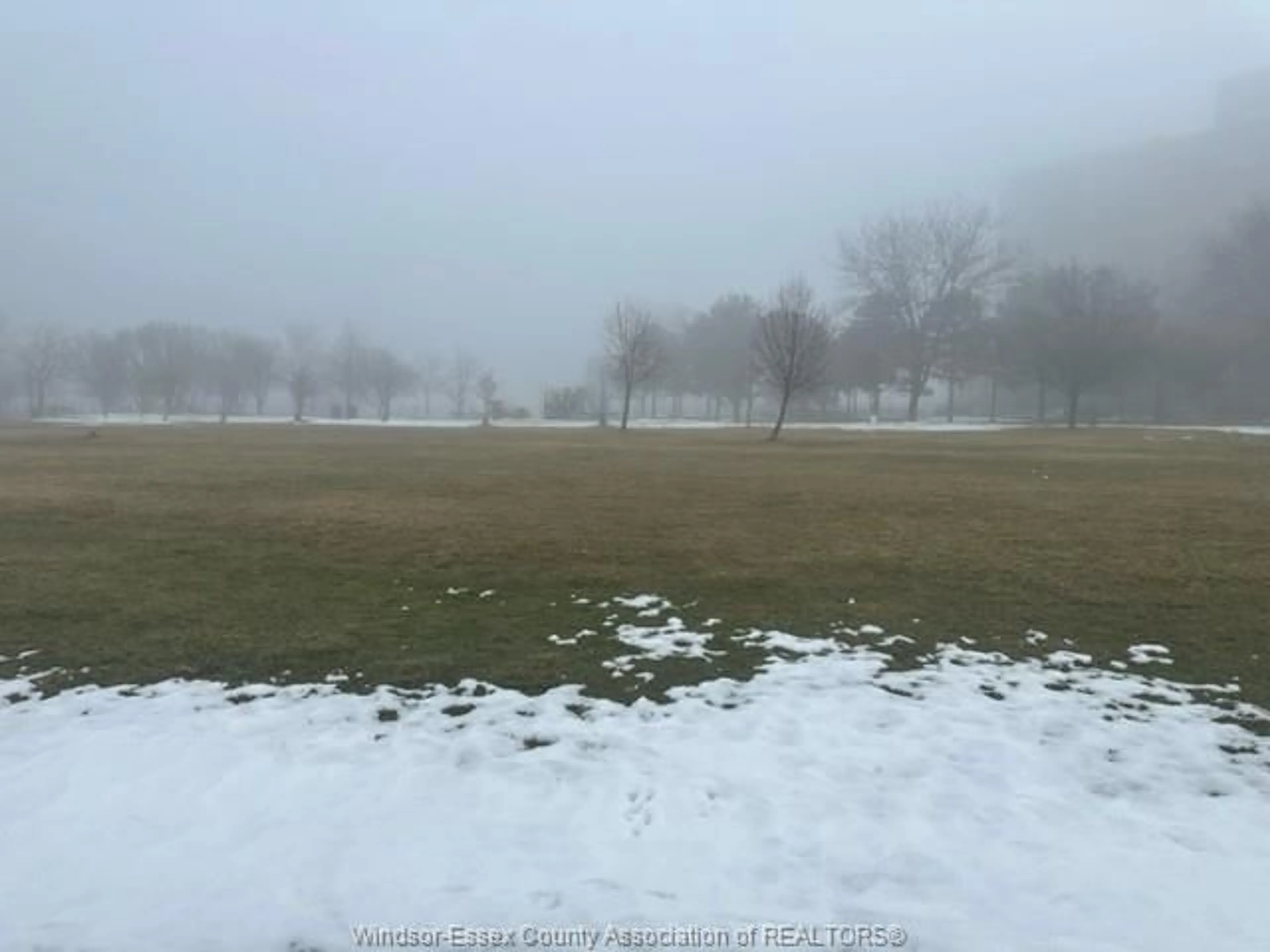 Blurry image for 368 CARLING, Windsor Ontario N8S 3X8