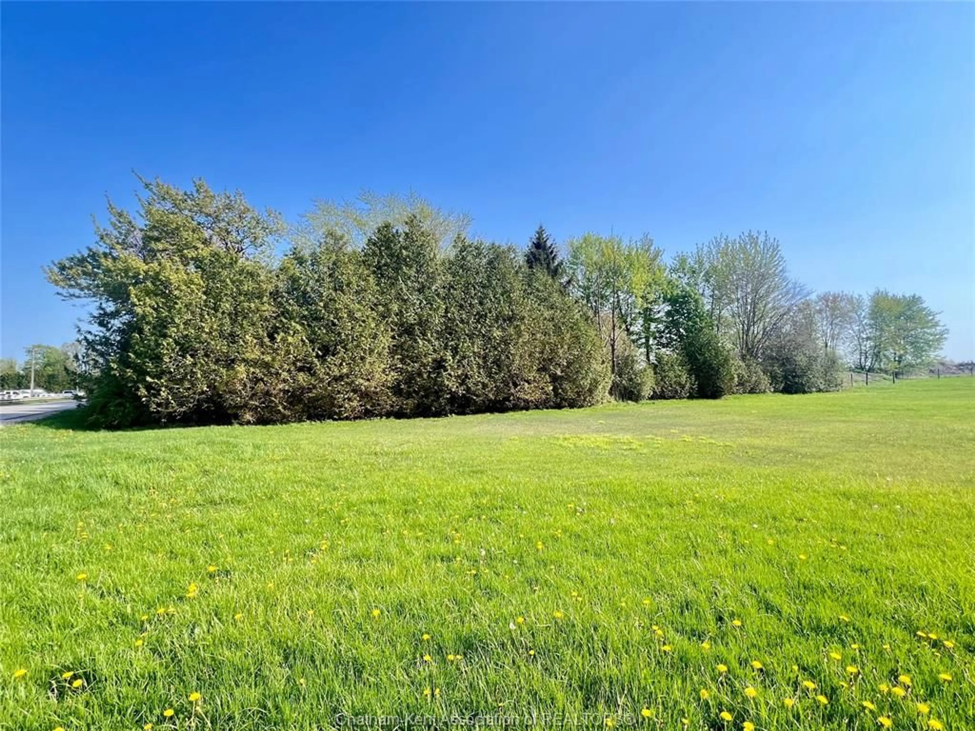 A pic from outside/outdoor area/front of a property/back of a property/a pic from drone, forest/trees view for 106 Erie St, Ridgetown Ontario N0P 2C0