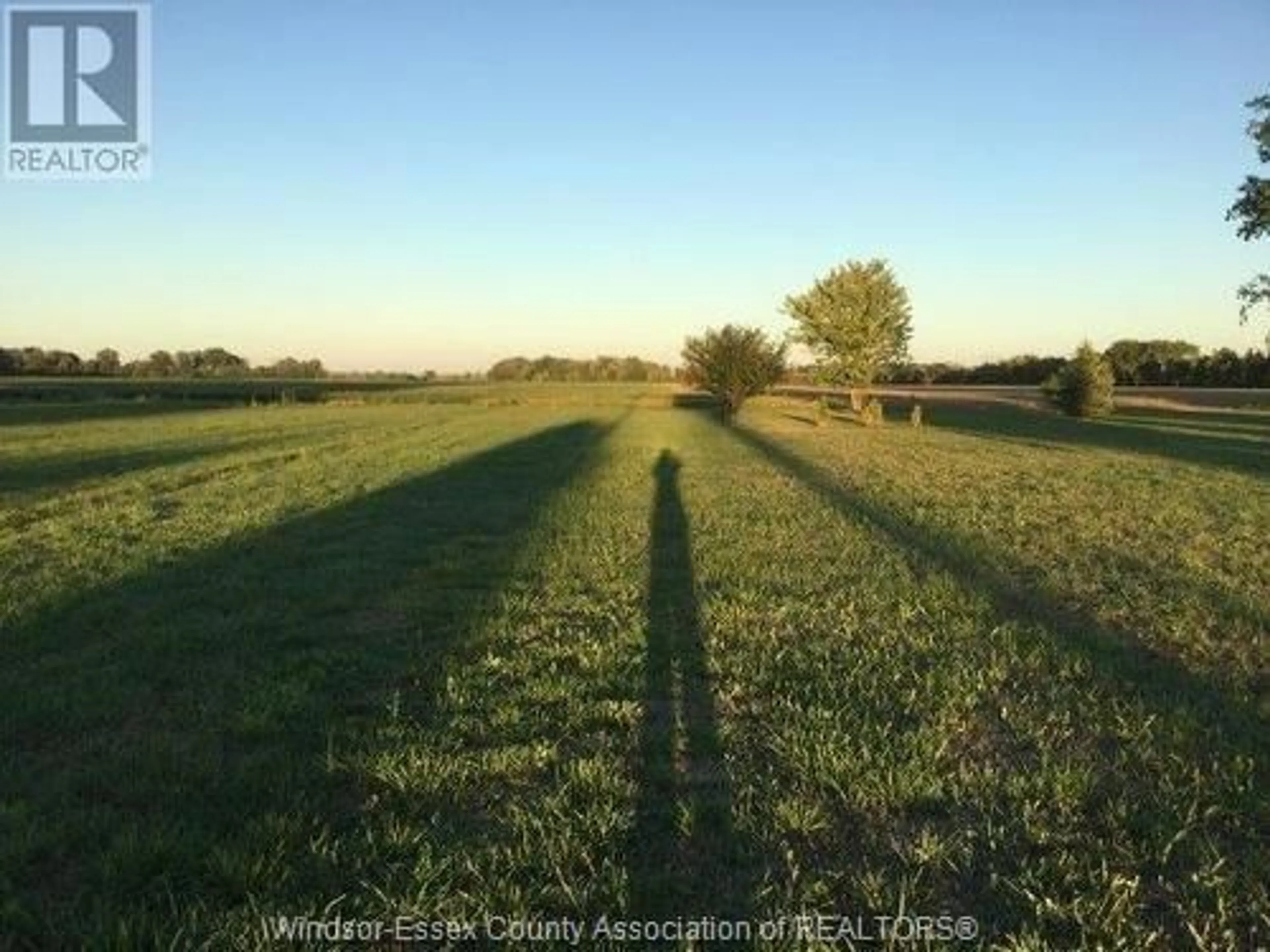 Blurry image for 949 West Shore Rd, Pelee Island Ontario N0R 1M0