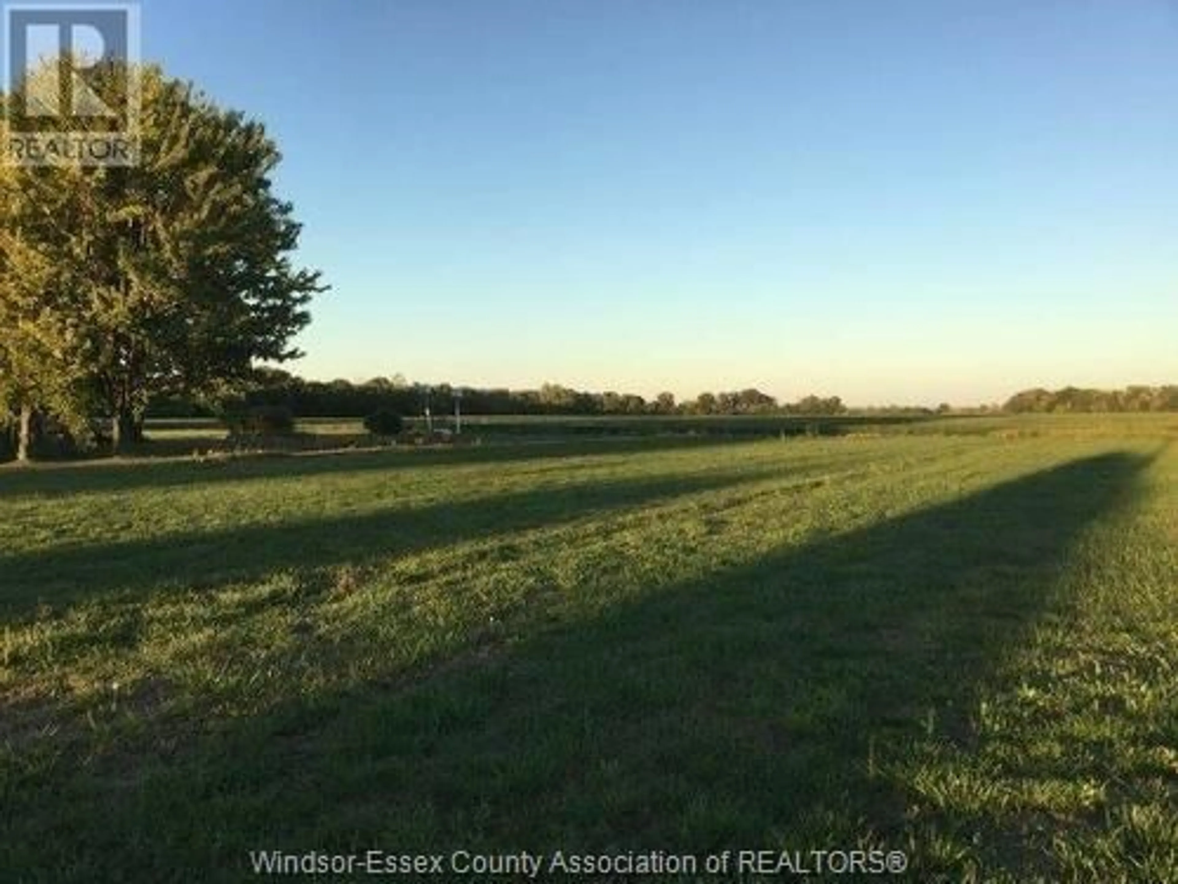 A pic from outside/outdoor area/front of a property/back of a property/a pic from drone, forest/trees view for 949 West Shore Rd, Pelee Island Ontario N0R 1M0