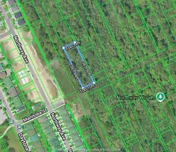 history photo preview