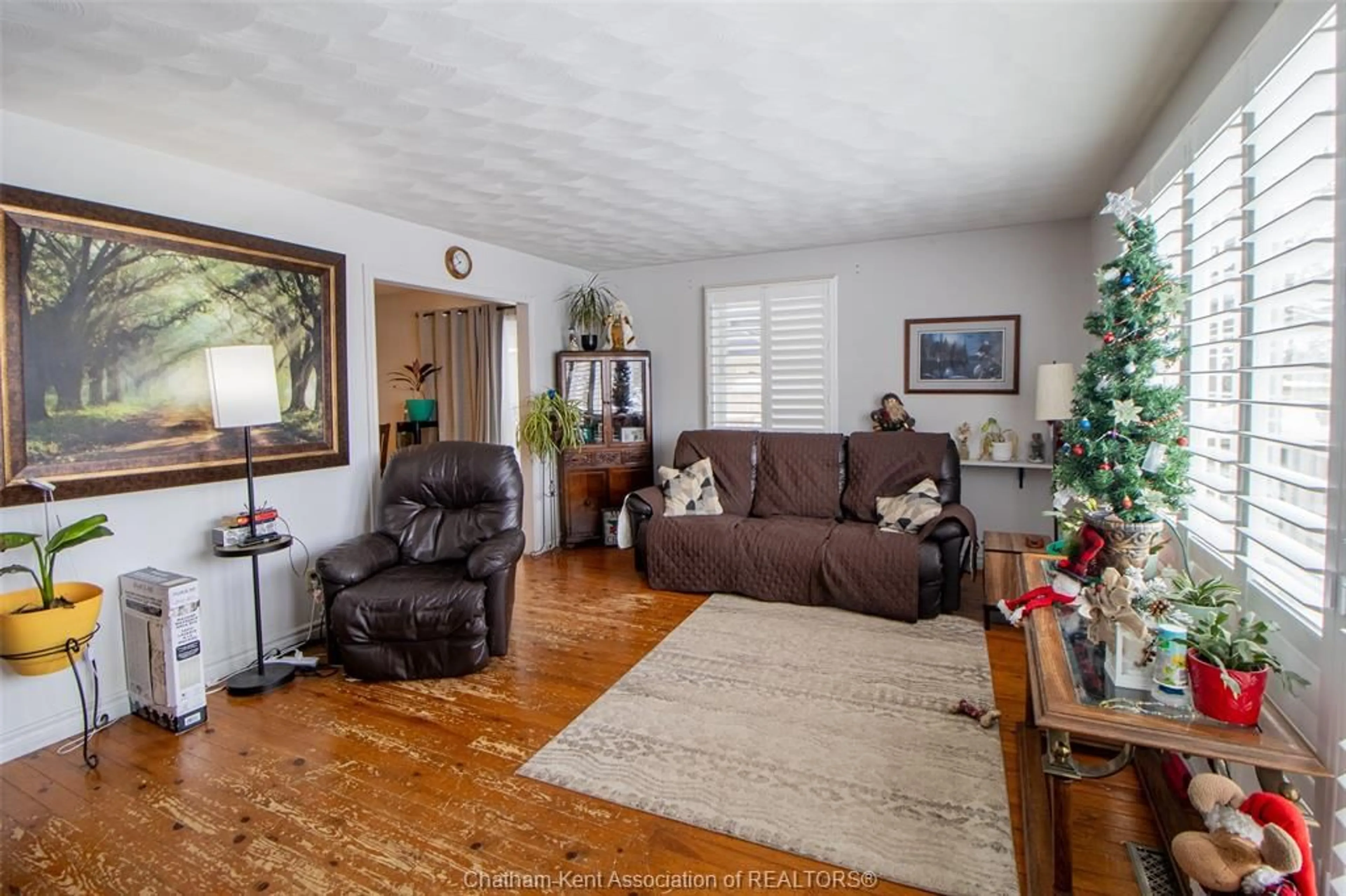 Living room with furniture, wood/laminate floor for 144 WHITING St, Ingersoll Ontario N5C 3B3