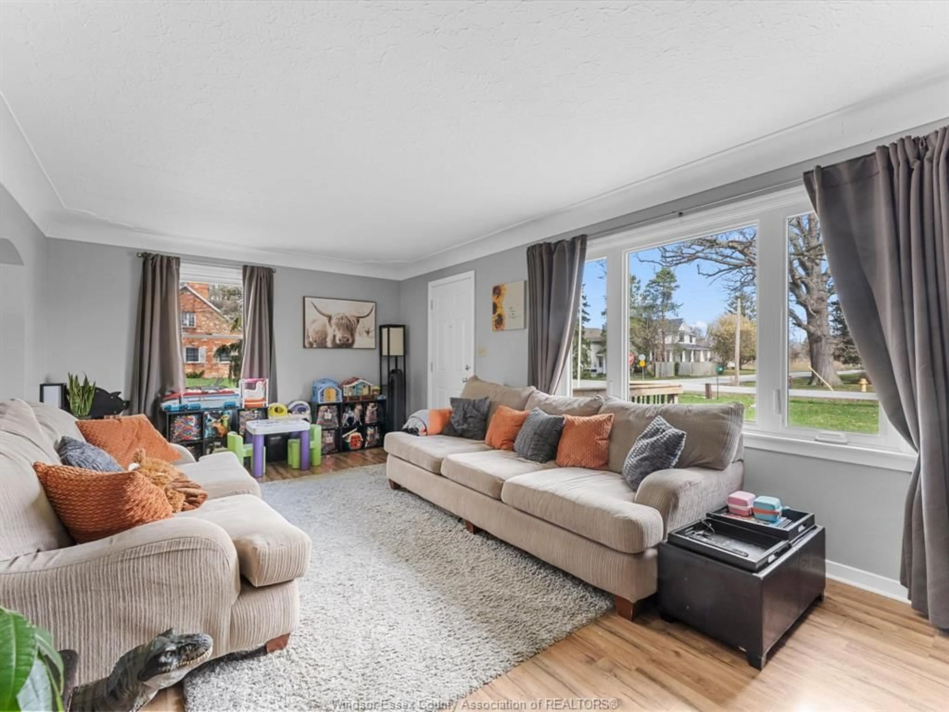 Living room with furniture, unknown for 80 STOWE St, Woodslee Ontario N0R 1V0