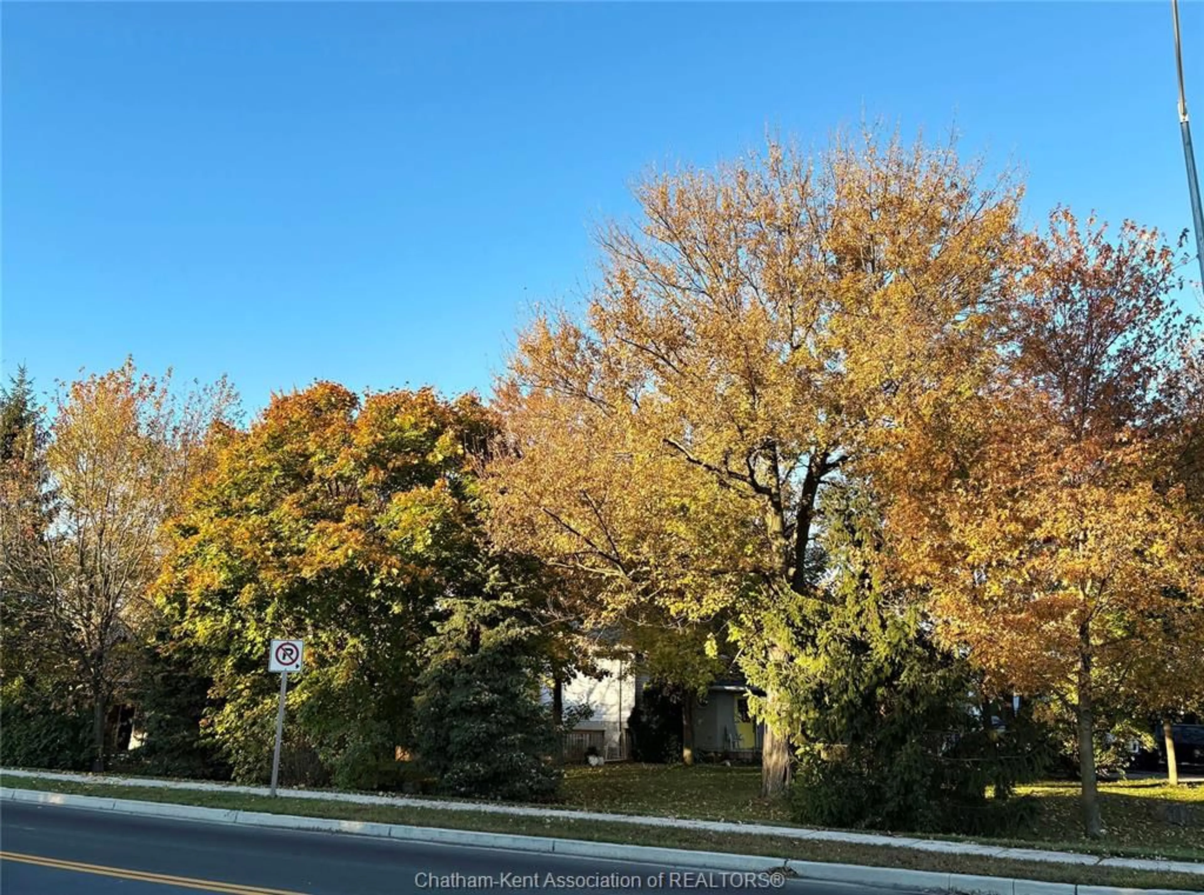 A pic from outside/outdoor area/front of a property/back of a property/a pic from drone, forest/trees view for 6201 Main St, Comber Ontario N0P 1J0