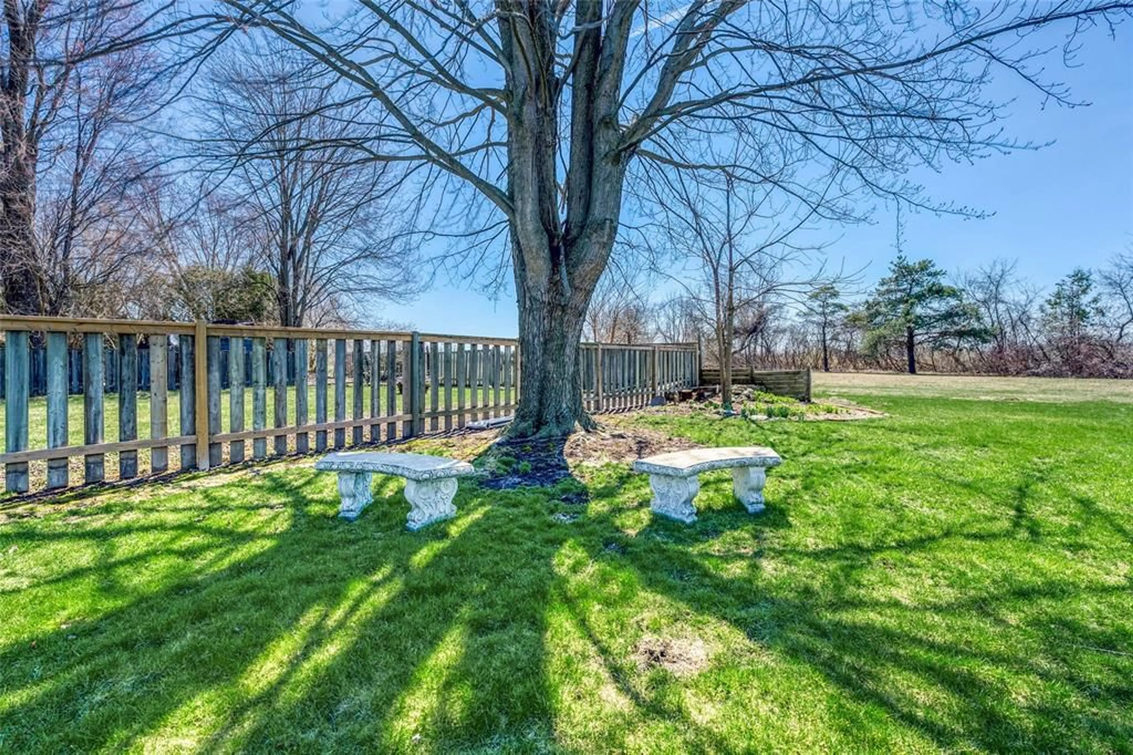 Patio, forest/trees view for 44 Irwin St, Wallaceburg Ontario N8A 4S1