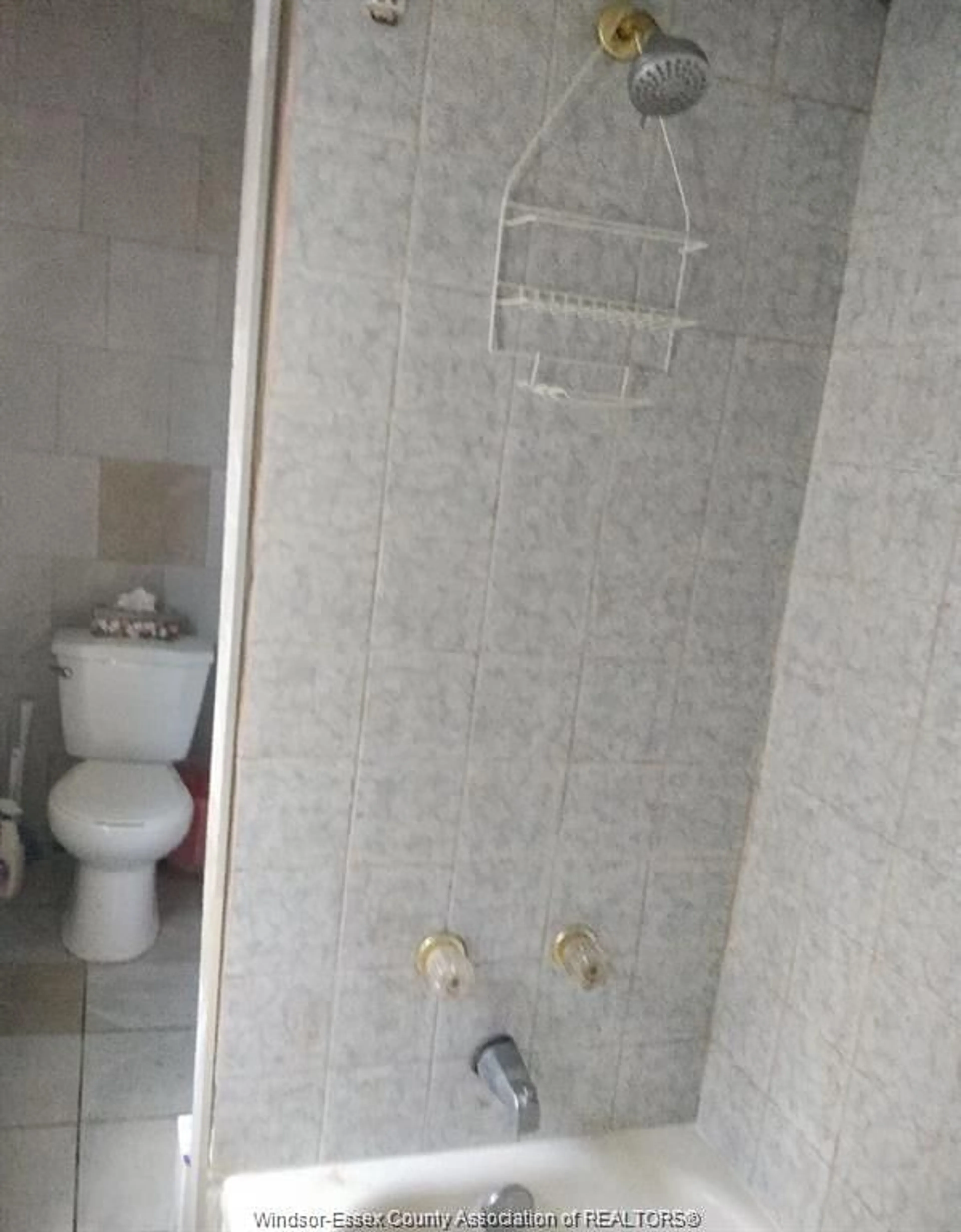 Standard bathroom, floor is not visible for 354 BRUCE, Windsor Ontario N9A 4W5