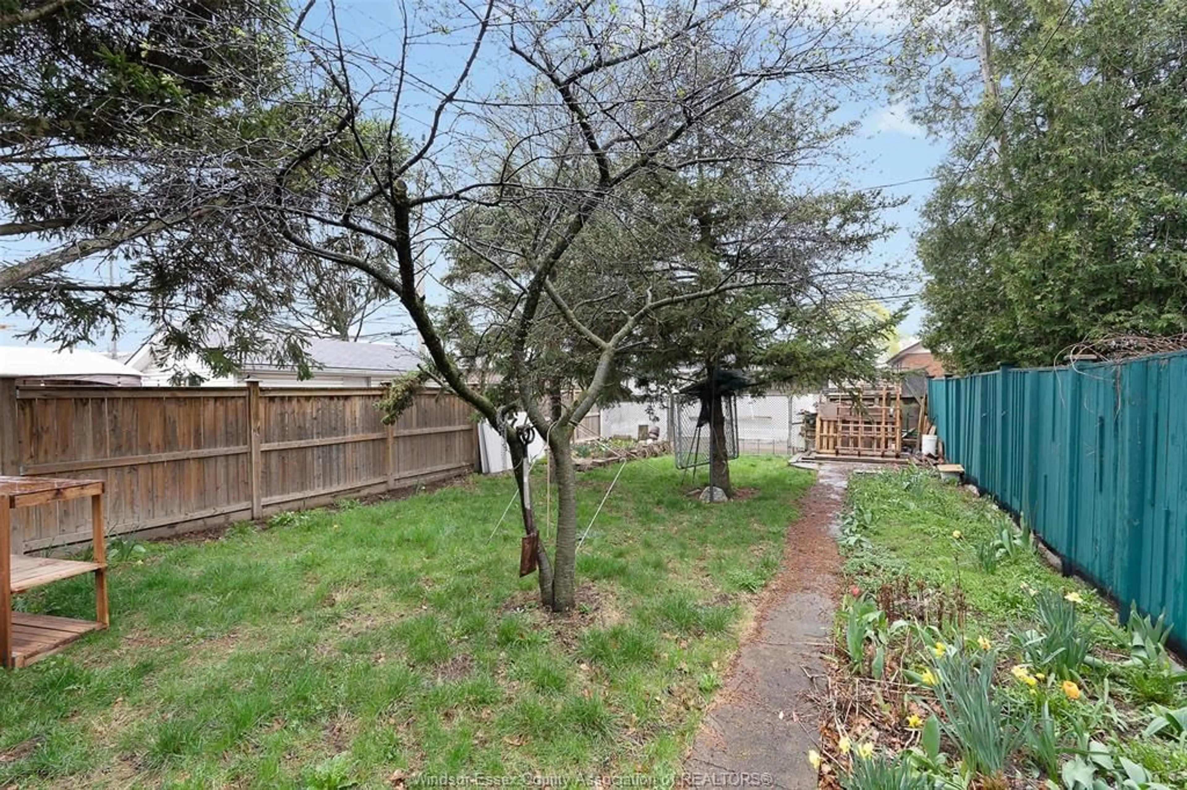 A pic from outside/outdoor area/front of a property/back of a property/a pic from drone, forest/trees view for 1845 LINCOLN Rd, Windsor Ontario N8W 2P6