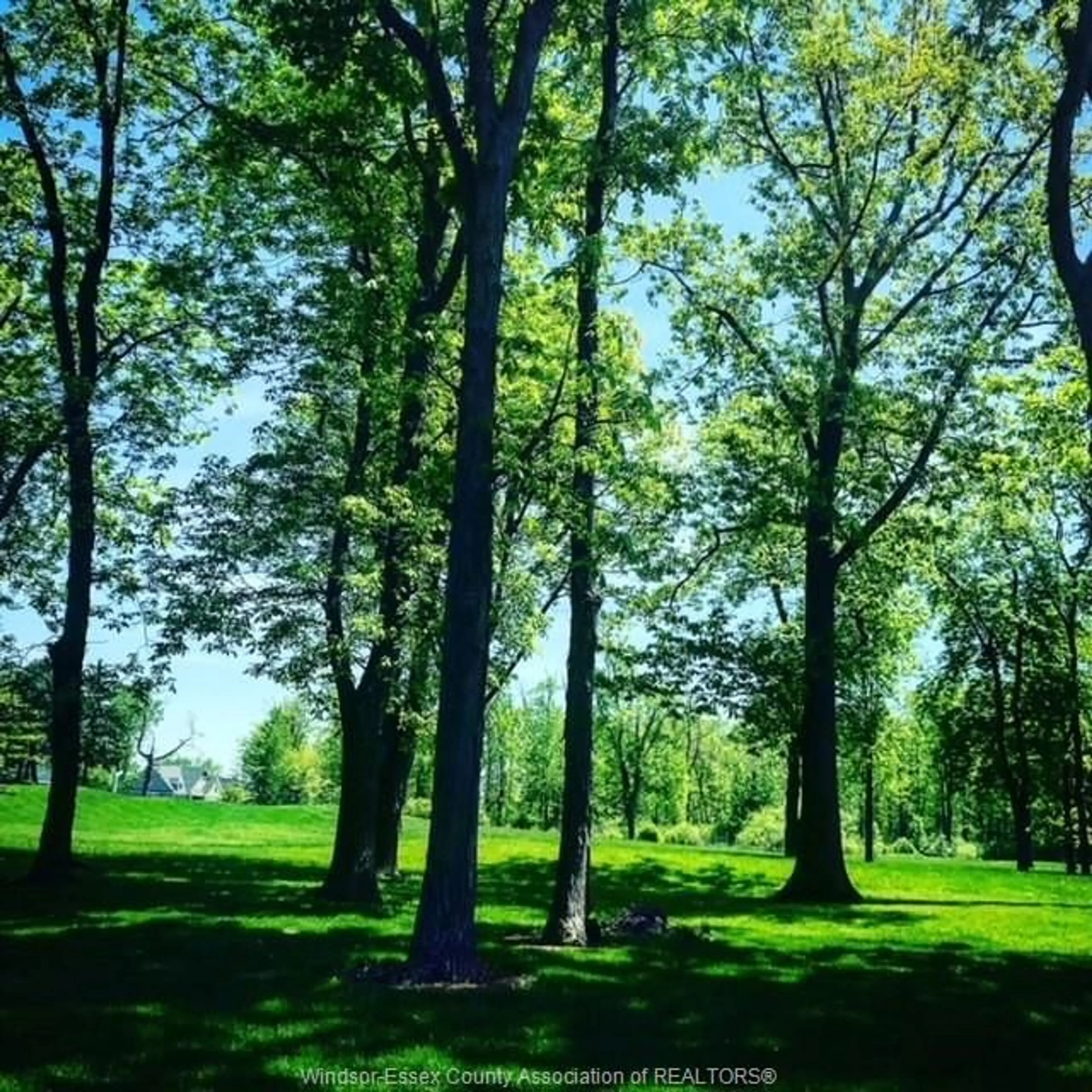 Blurry image for 329 Crystal Bay Drive, Amherstburg Ontario N9V 4A7