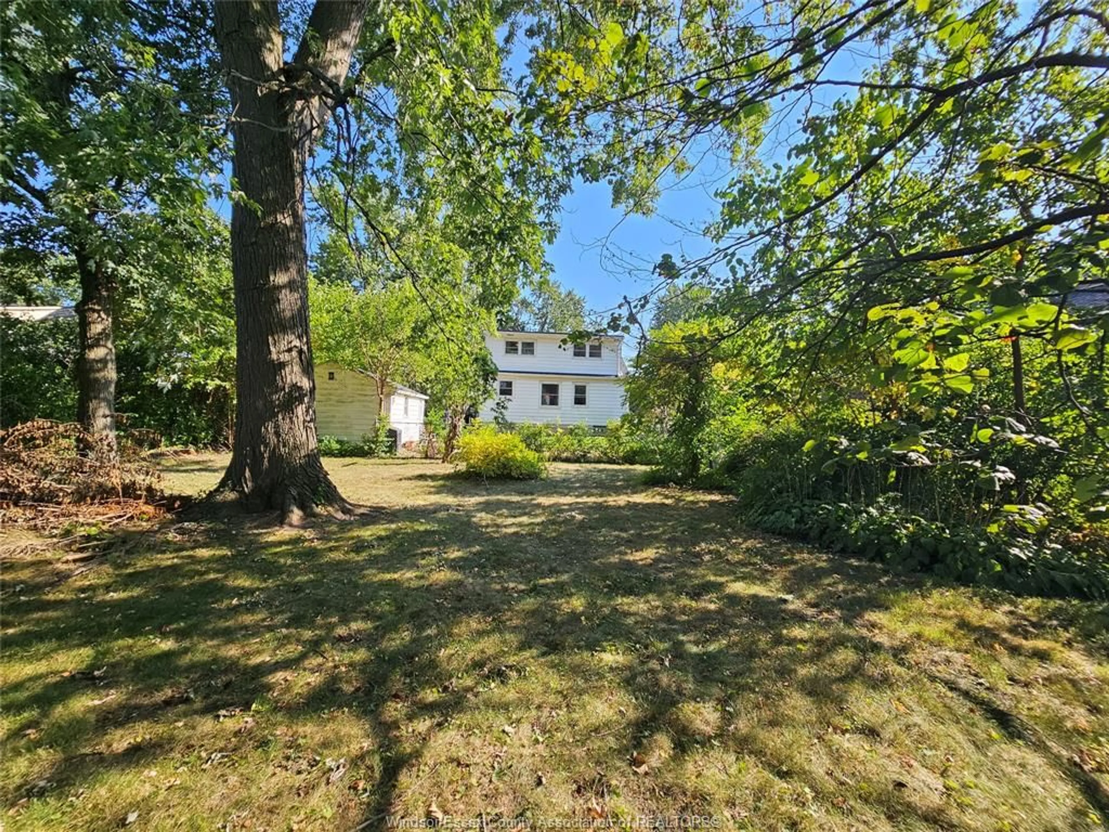 A pic from outside/outdoor area/front of a property/back of a property/a pic from drone, forest/trees view for 1040 KENNEDY Dr, Windsor Ontario N9G 1T1