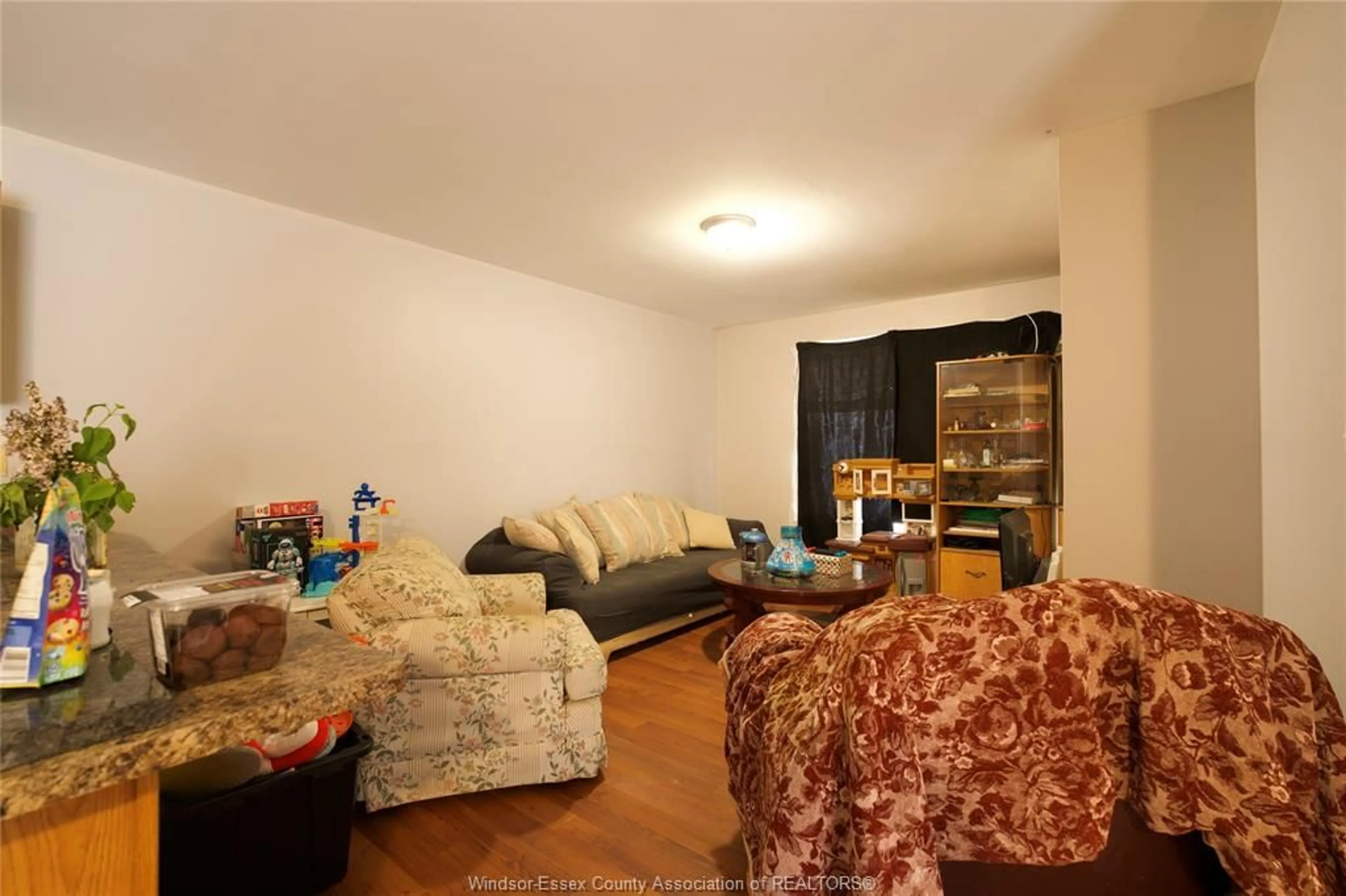 Living room with furniture, unknown for 3646 RIBERDY Rd, Windsor Ontario N8W 3V8