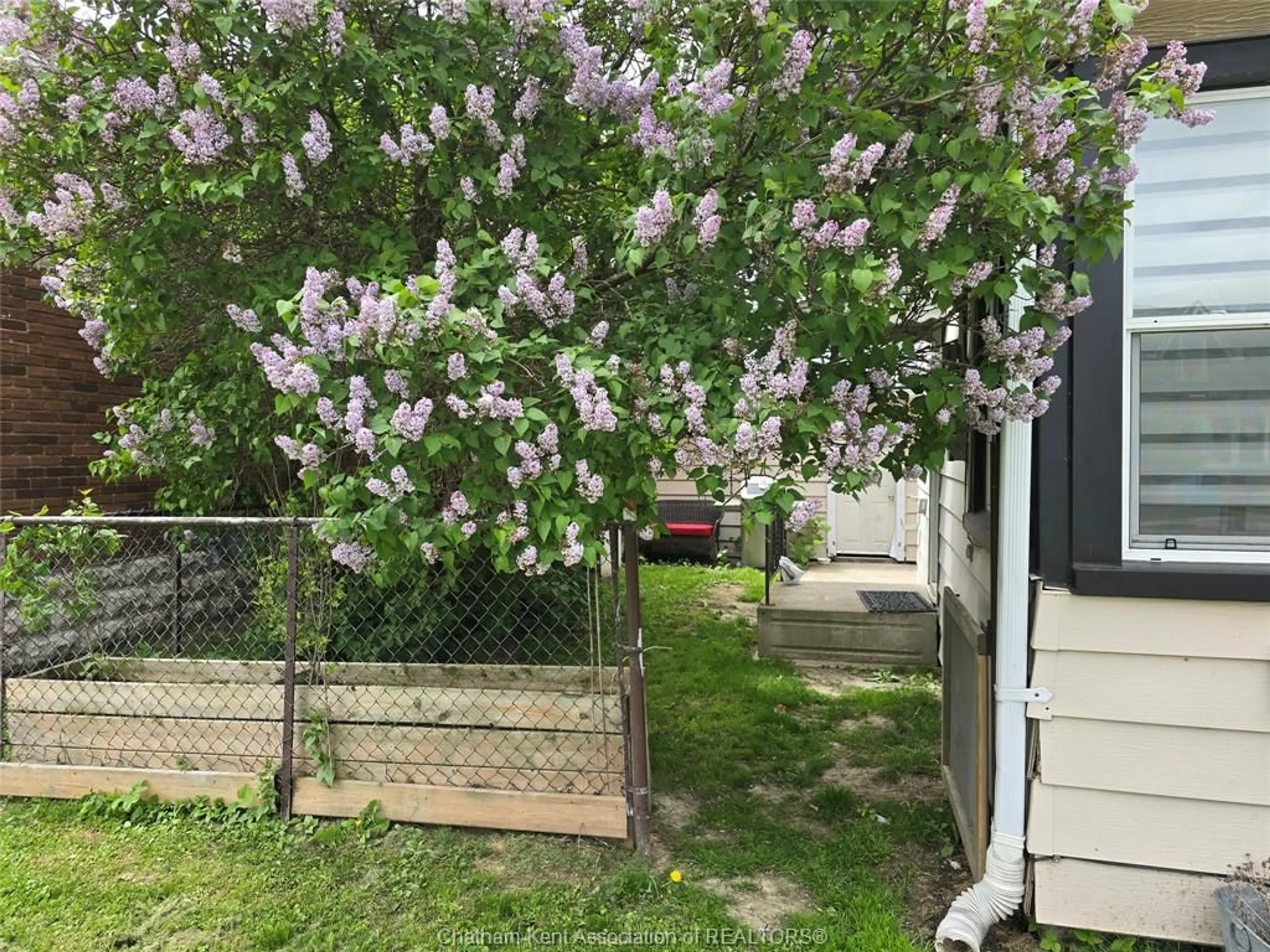 Shed for 306 Murray St, Wallaceburg Ontario N8A 1V4