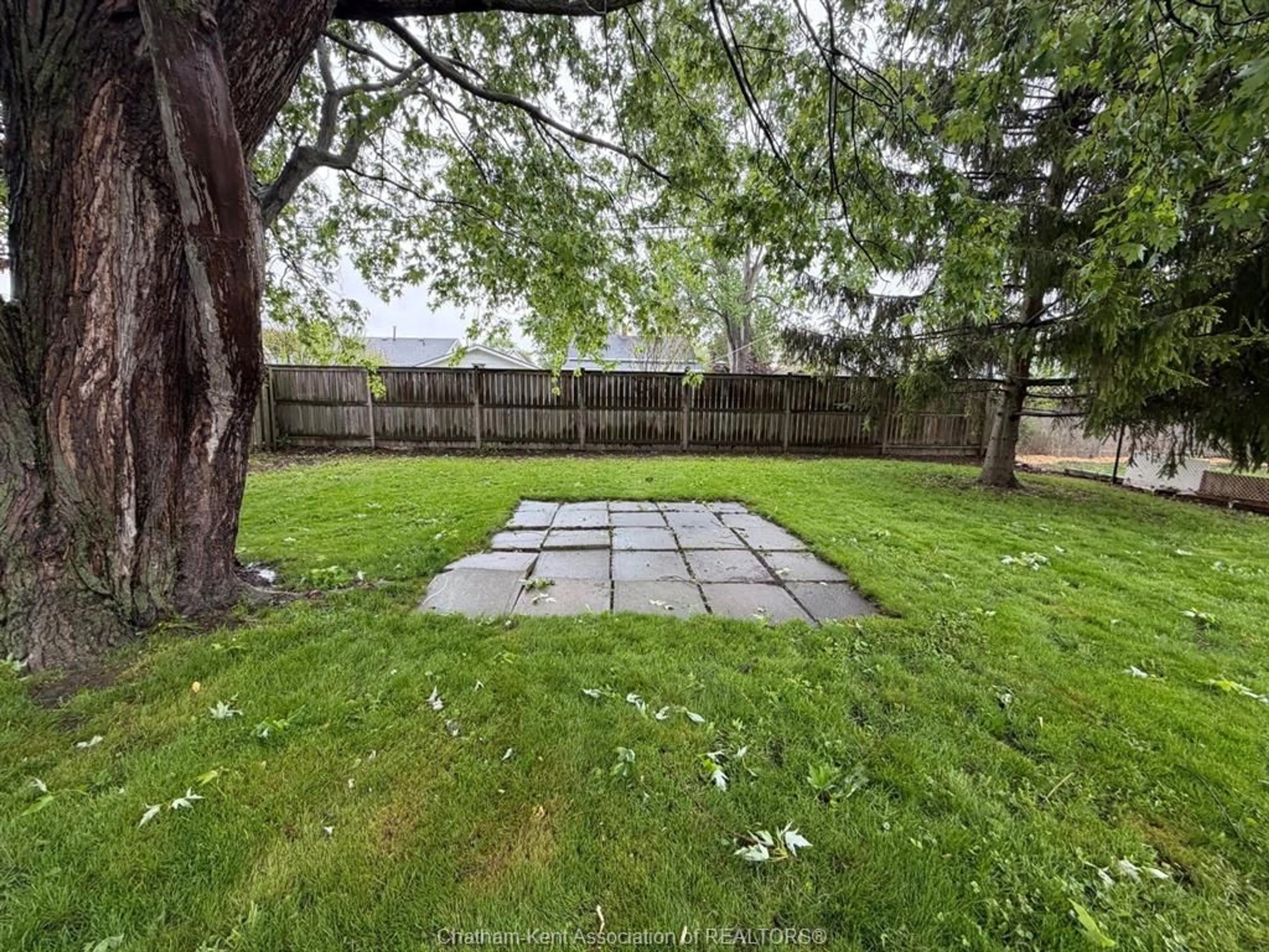 A pic from outside/outdoor area/front of a property/back of a property/a pic from drone, unknown for 220 Queen St, Wallaceburg Ontario N8A 1G5