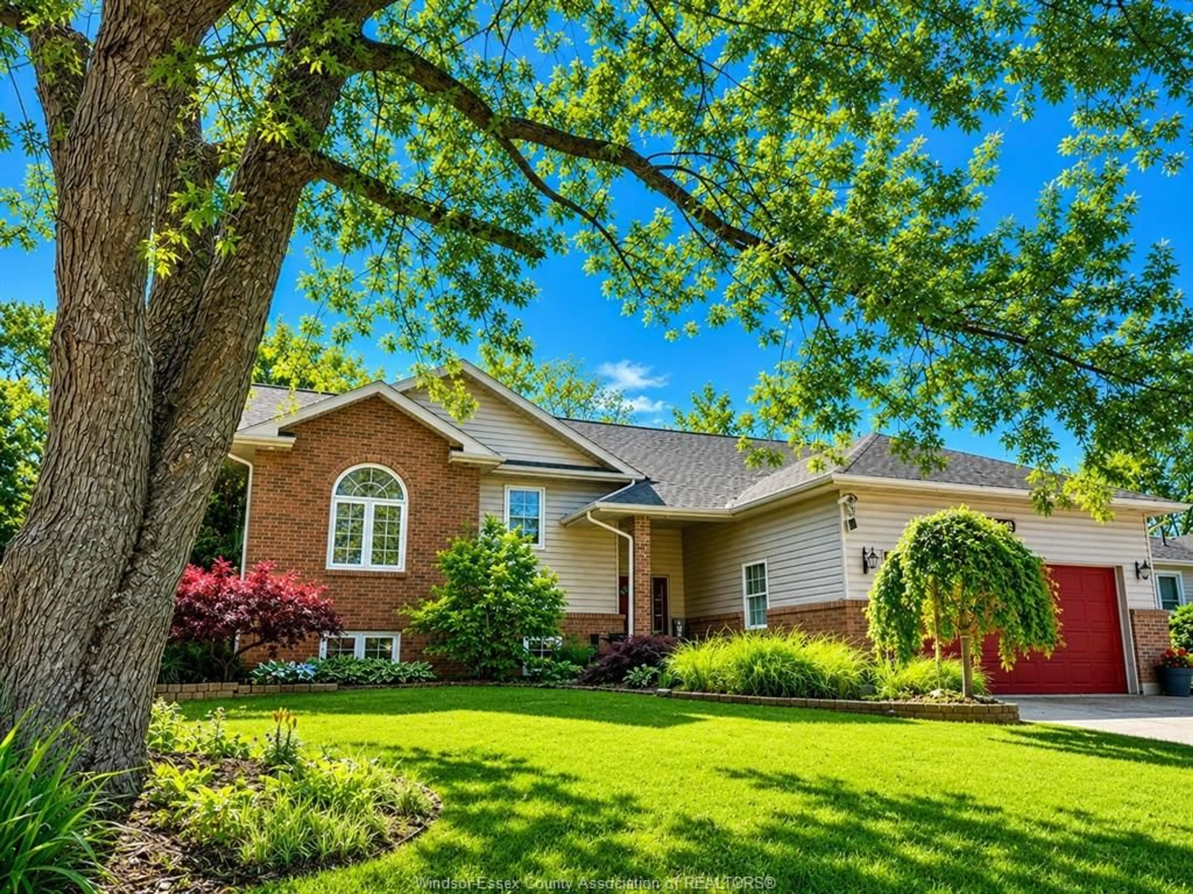 Home with vinyl exterior material, street for 230 ERIE St, Harrow Ontario N0R 1G0
