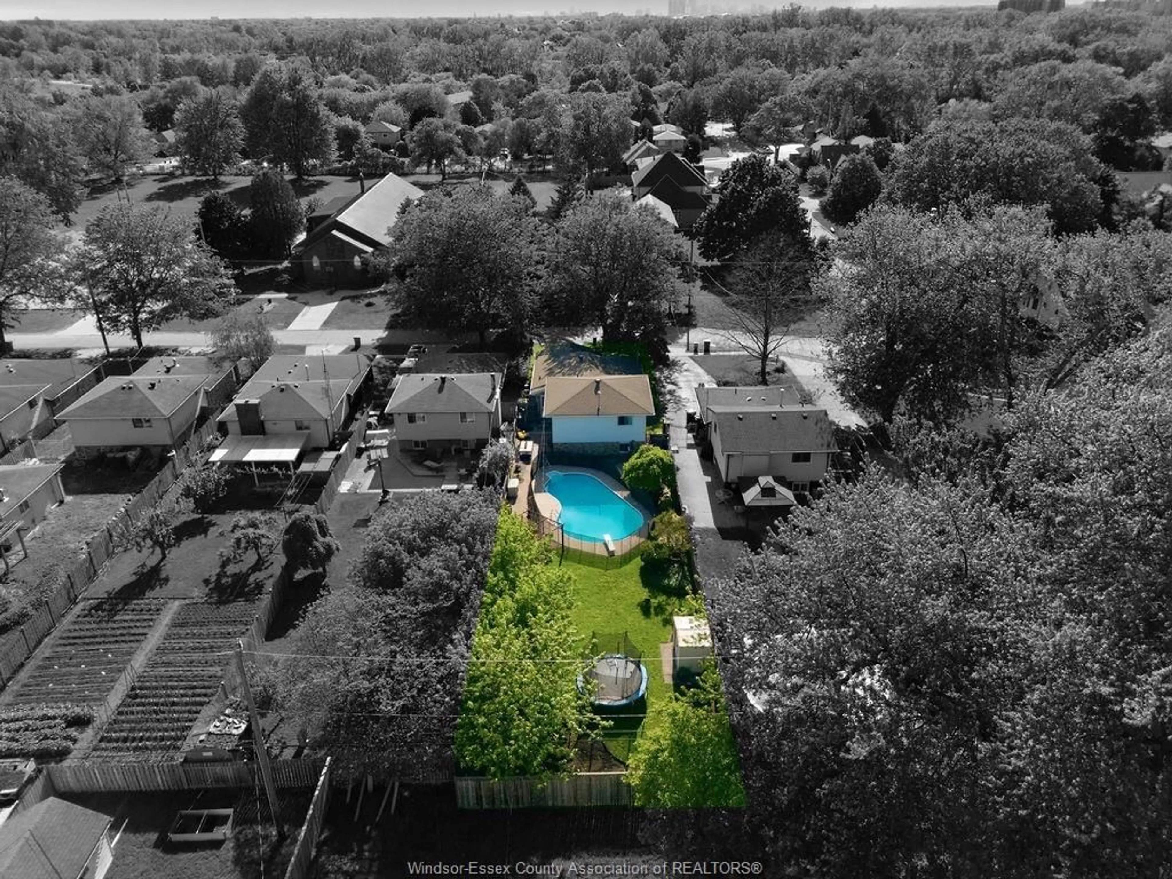 A pic from outside/outdoor area/front of a property/back of a property/a pic from drone, unknown for 512 ELINOR, Windsor Ontario N8P 1E4