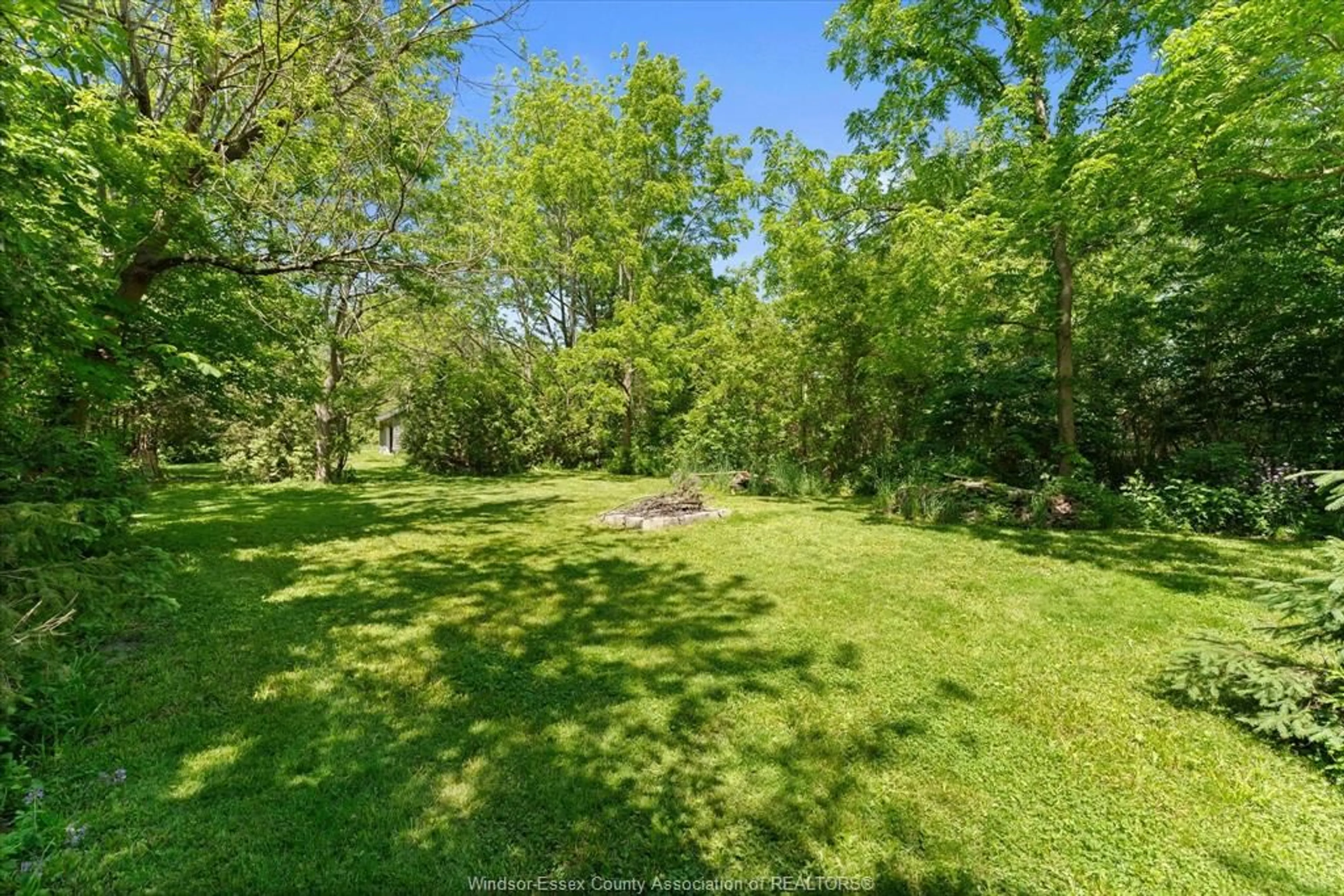 A pic from outside/outdoor area/front of a property/back of a property/a pic from drone, forest/trees view for 1109 FRONT Rd #PT 1, Amherstburg Ontario N9V 2Y8