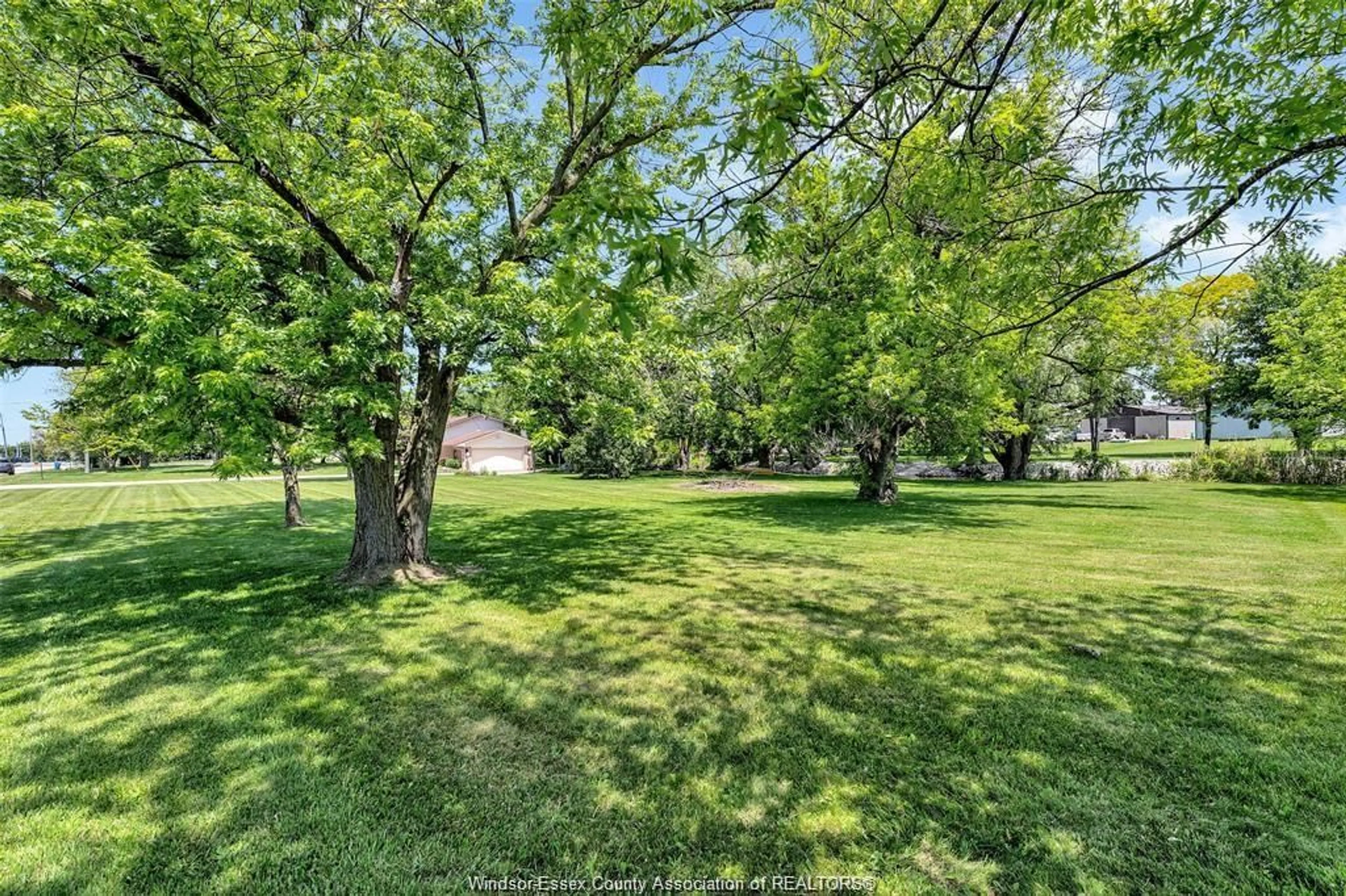 A pic from outside/outdoor area/front of a property/back of a property/a pic from drone, forest/trees view for 224 WEST PIKE CREEK, Lakeshore Ontario N8N 2L9