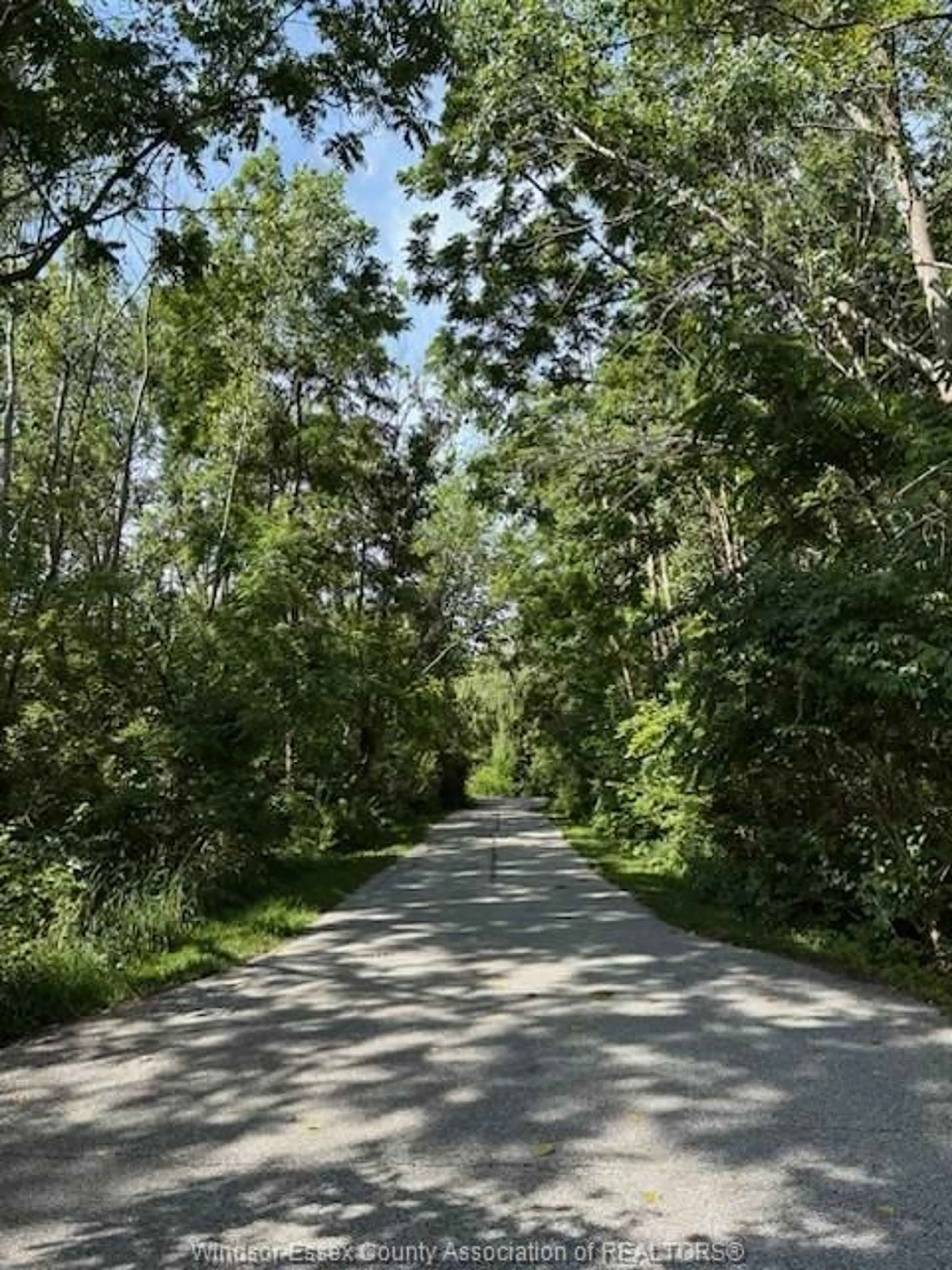 Blurry image for 1024 COPELAND, Windsor Ontario N8P 0C3