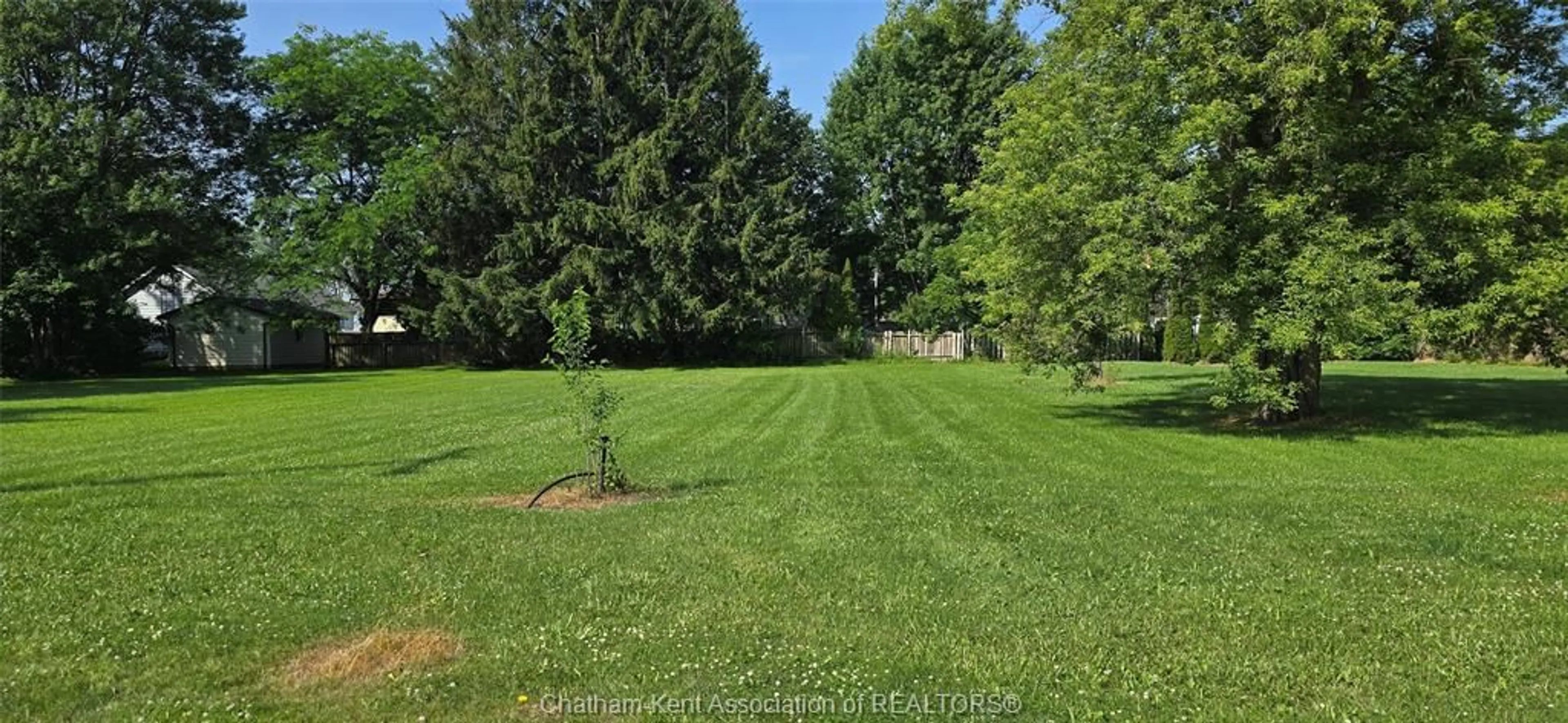 A pic from outside/outdoor area/front of a property/back of a property/a pic from drone, forest/trees view for 58 Albert Ave, Ridgetown Ontario N0P 1C0